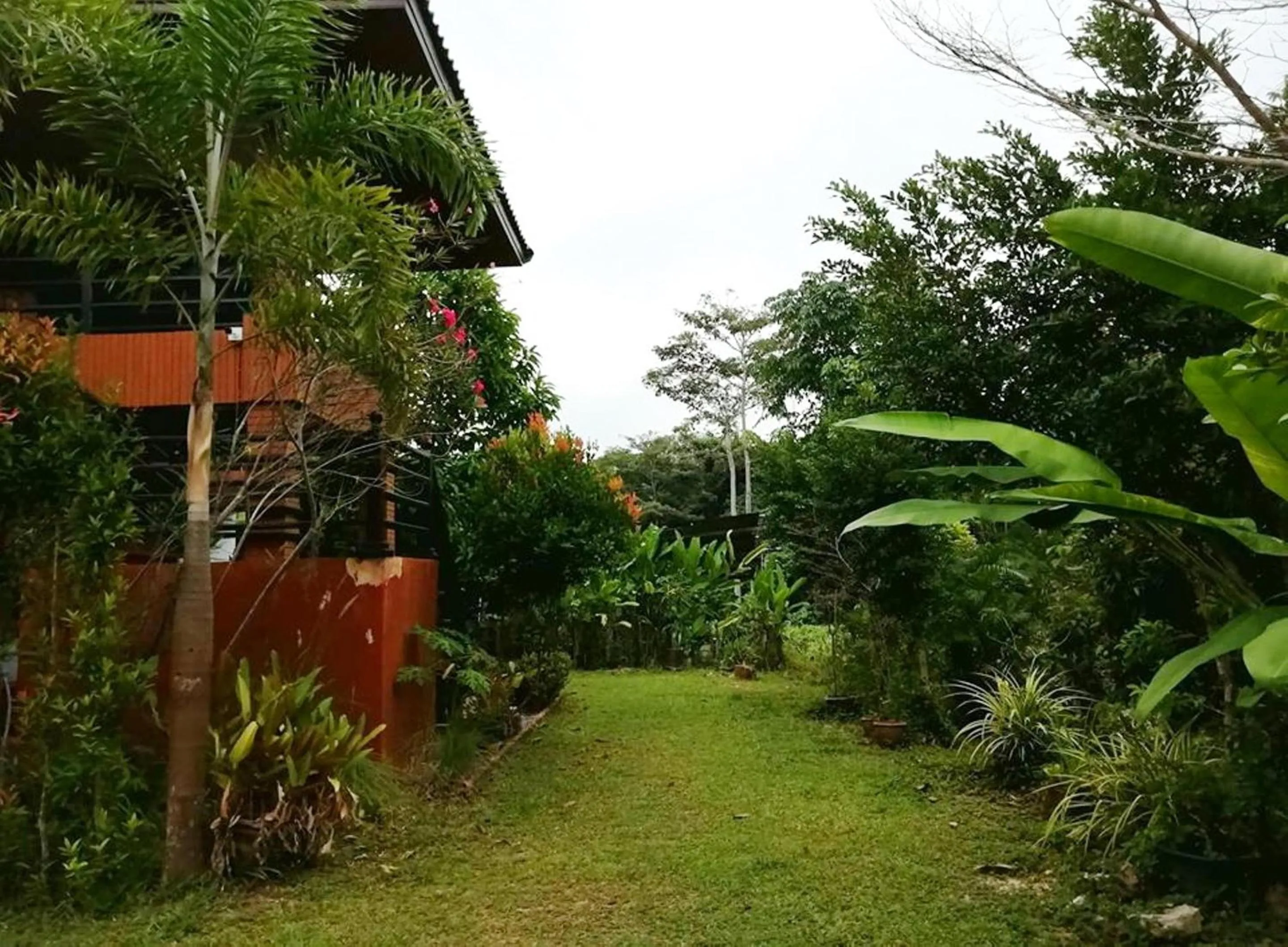 Natural landscape in Lanta Wanida Resort