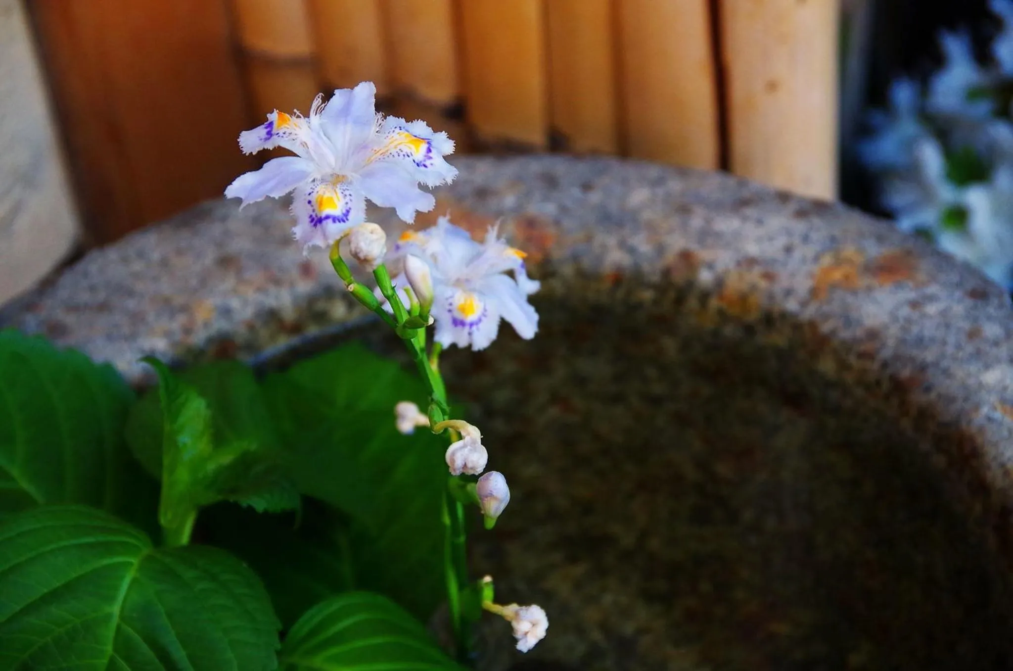 Facade/entrance in Yadoya Manjiro