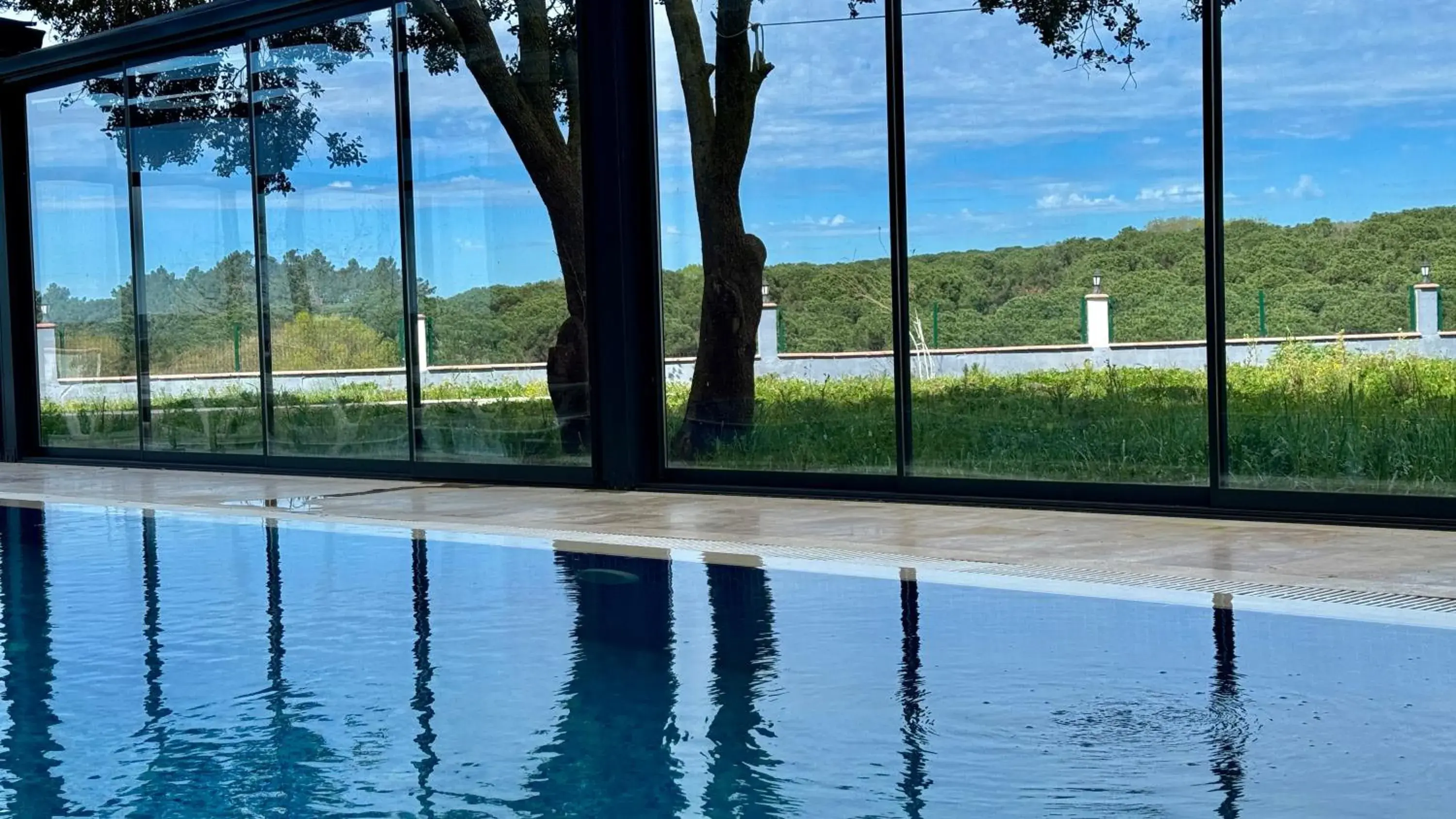 Swimming pool in Green Roof Boutique Hotel & SPA Istanbul Airport Swimming pool in Green Roof Boutique Hotel & SPA Istanbul Airport