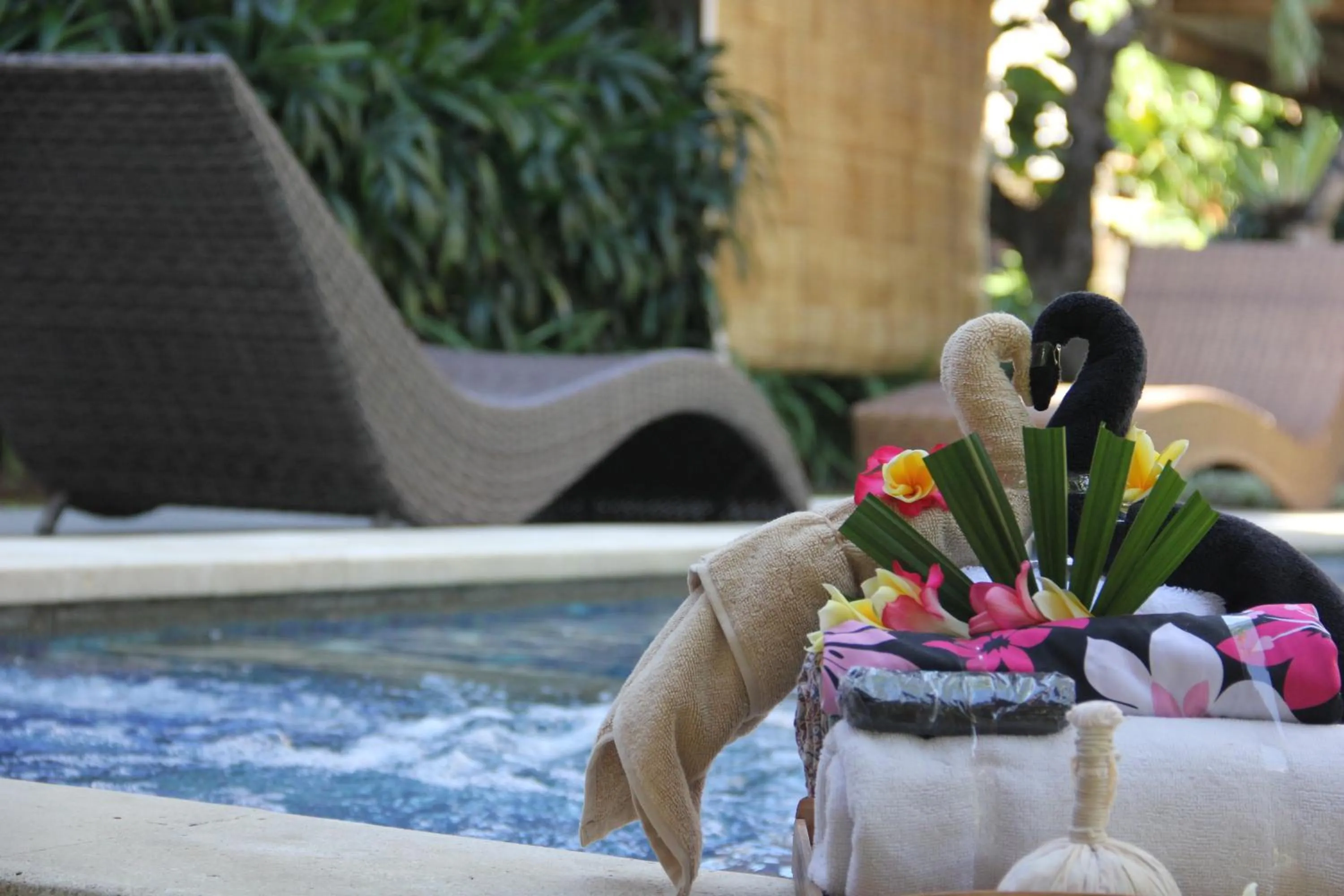 Swimming pool in Radiant Jepun Villa