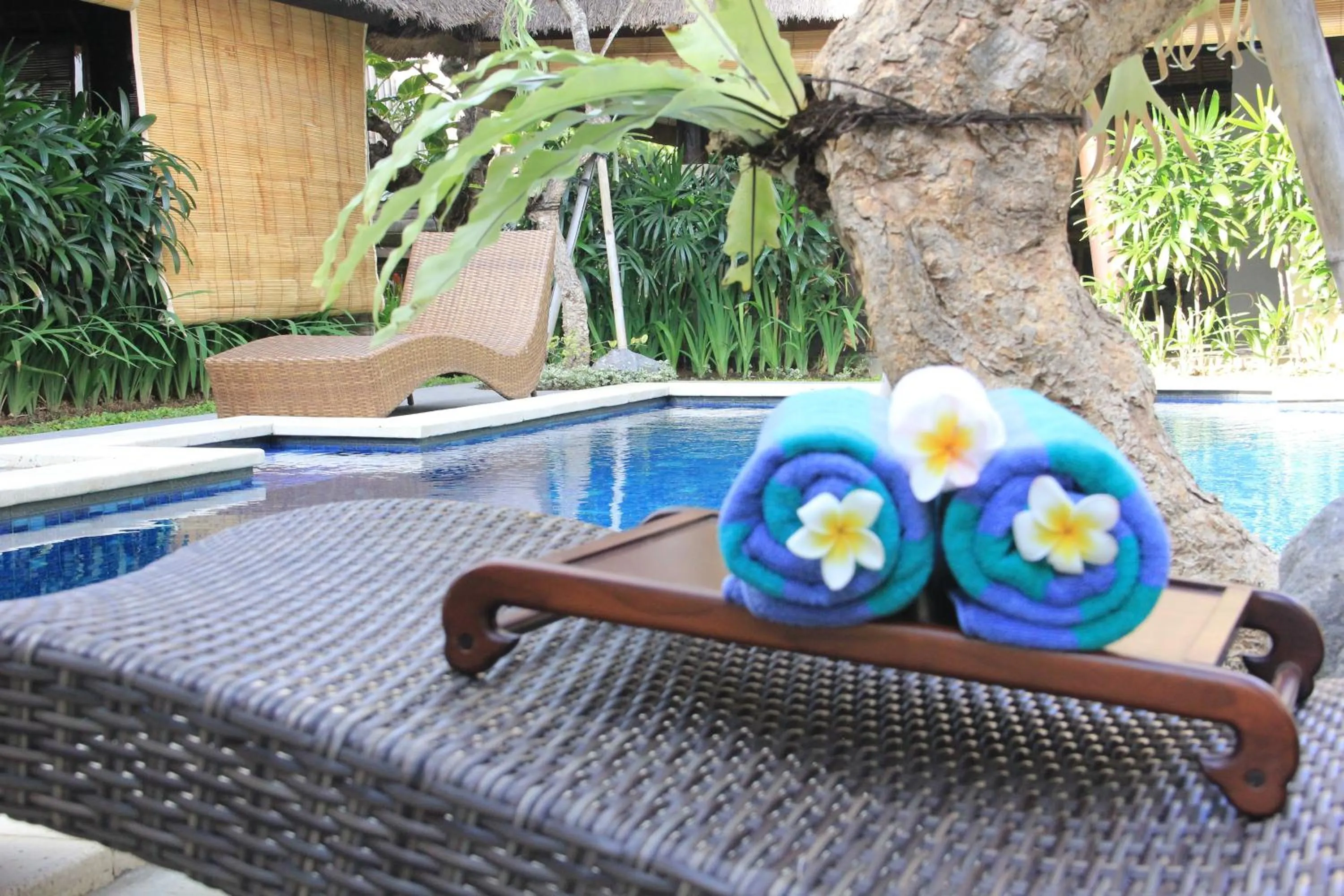 Swimming pool in Radiant Jepun Villa