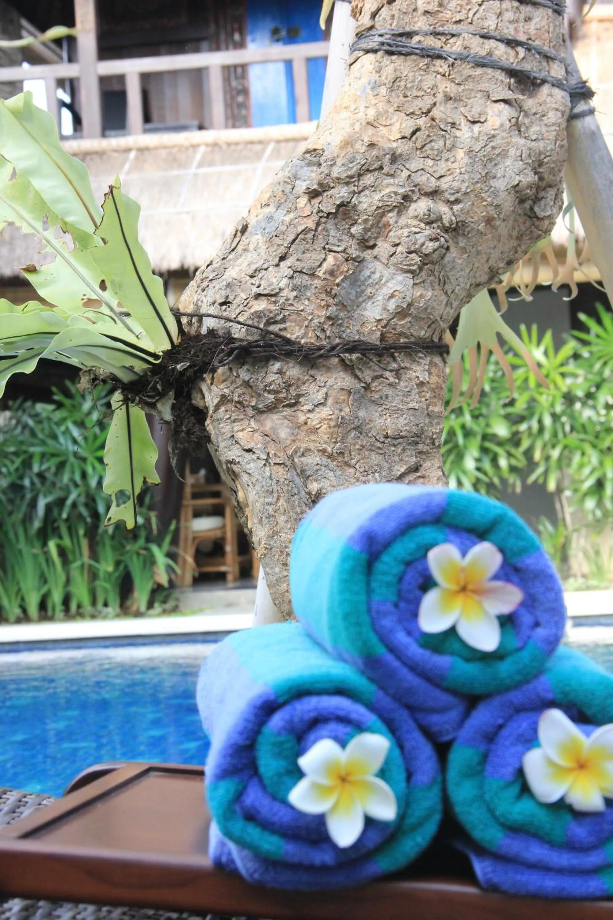 Day in Radiant Jepun Villa