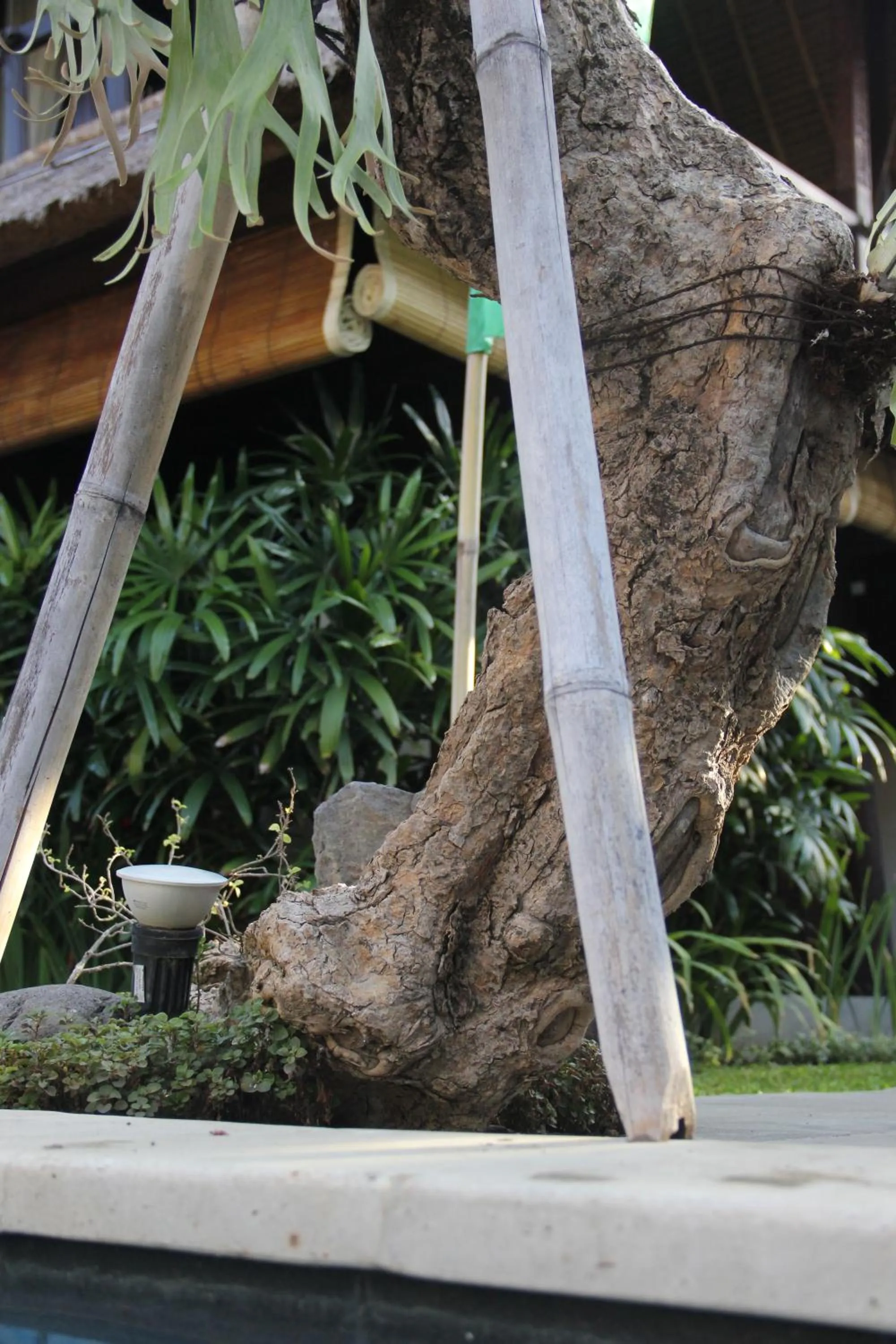 Other in Radiant Jepun Villa