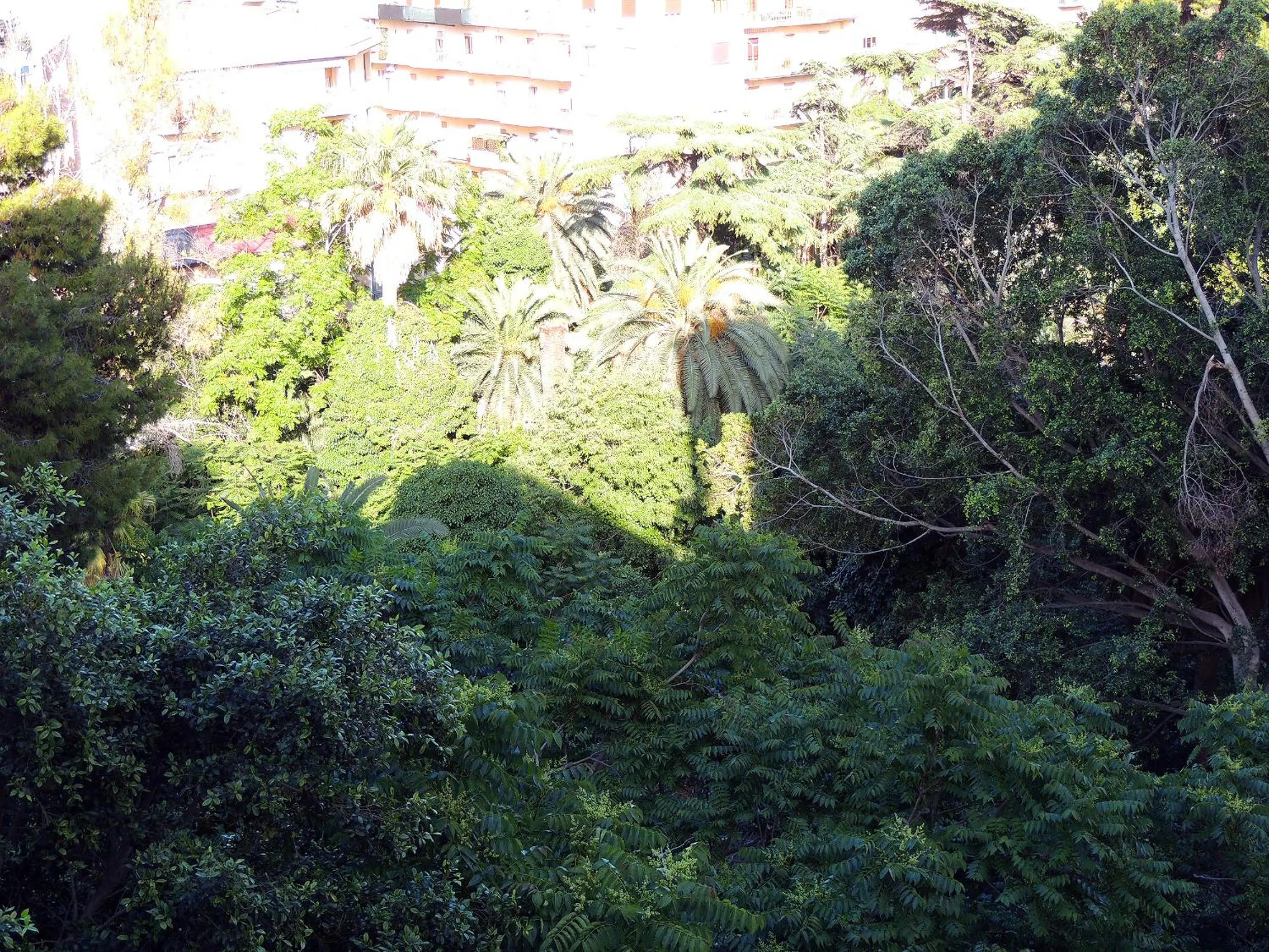 In Itinera