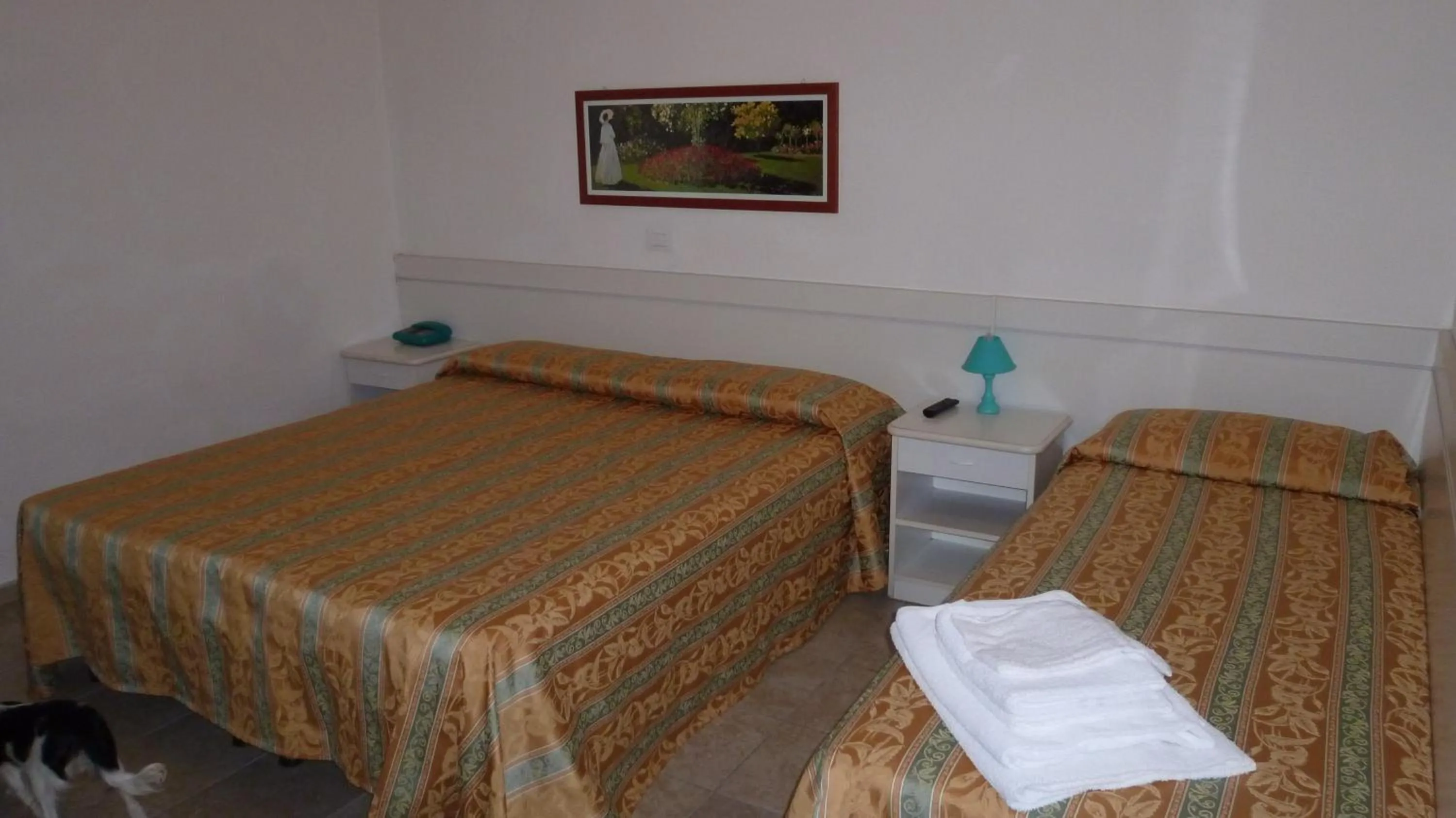 Photo of the whole room in Hotel Zeus Lido di Classe Room Only