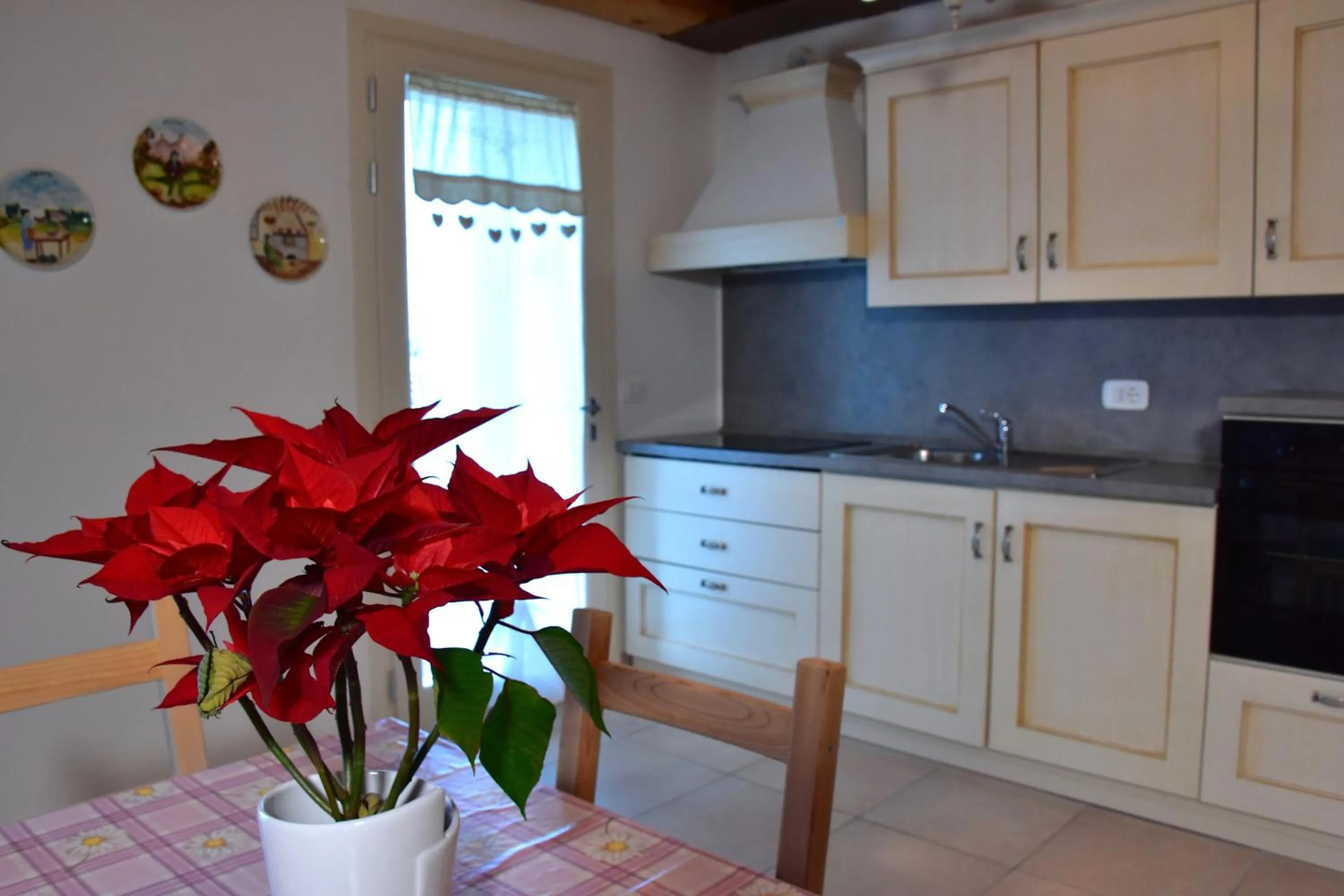 Kitchen or kitchenette in Agriturismo Ae Cavane