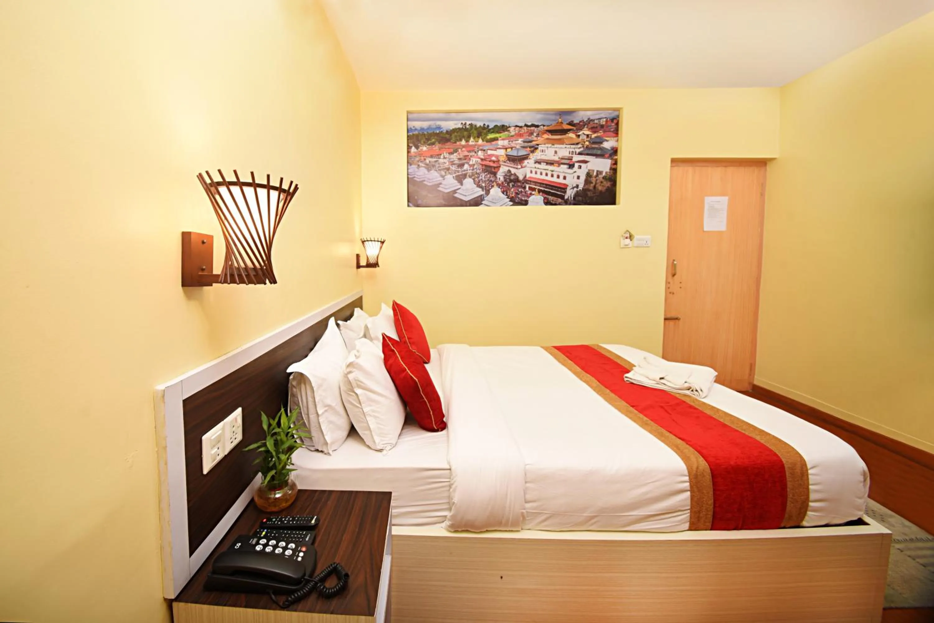 Superior Double Room - single occupancy in Hotel Odyssey Nepal