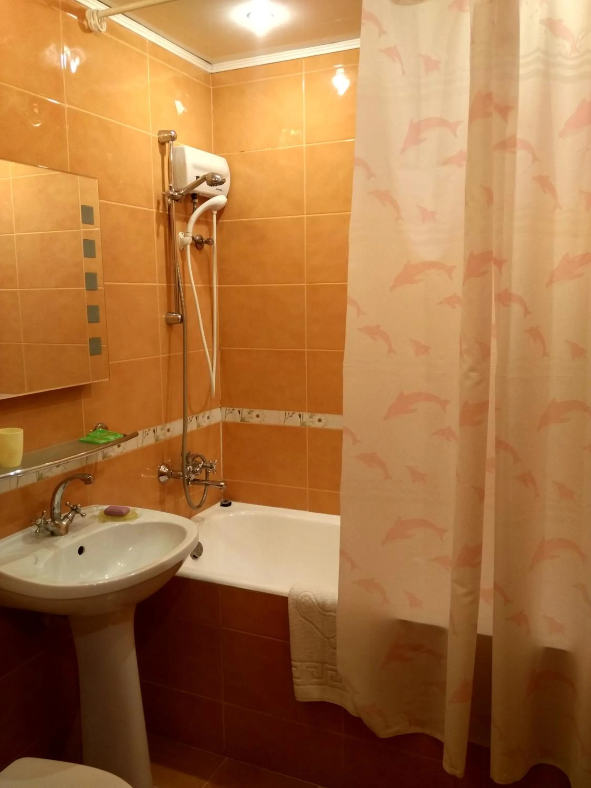 Hotel Service Predslava on Antonovicha street