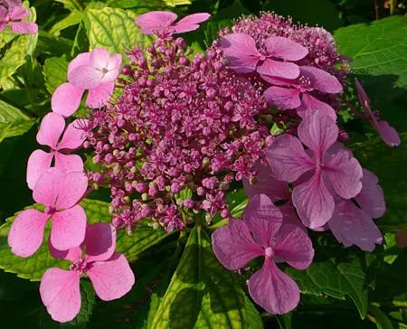 Other in Apartman Halex Centrum City aupark