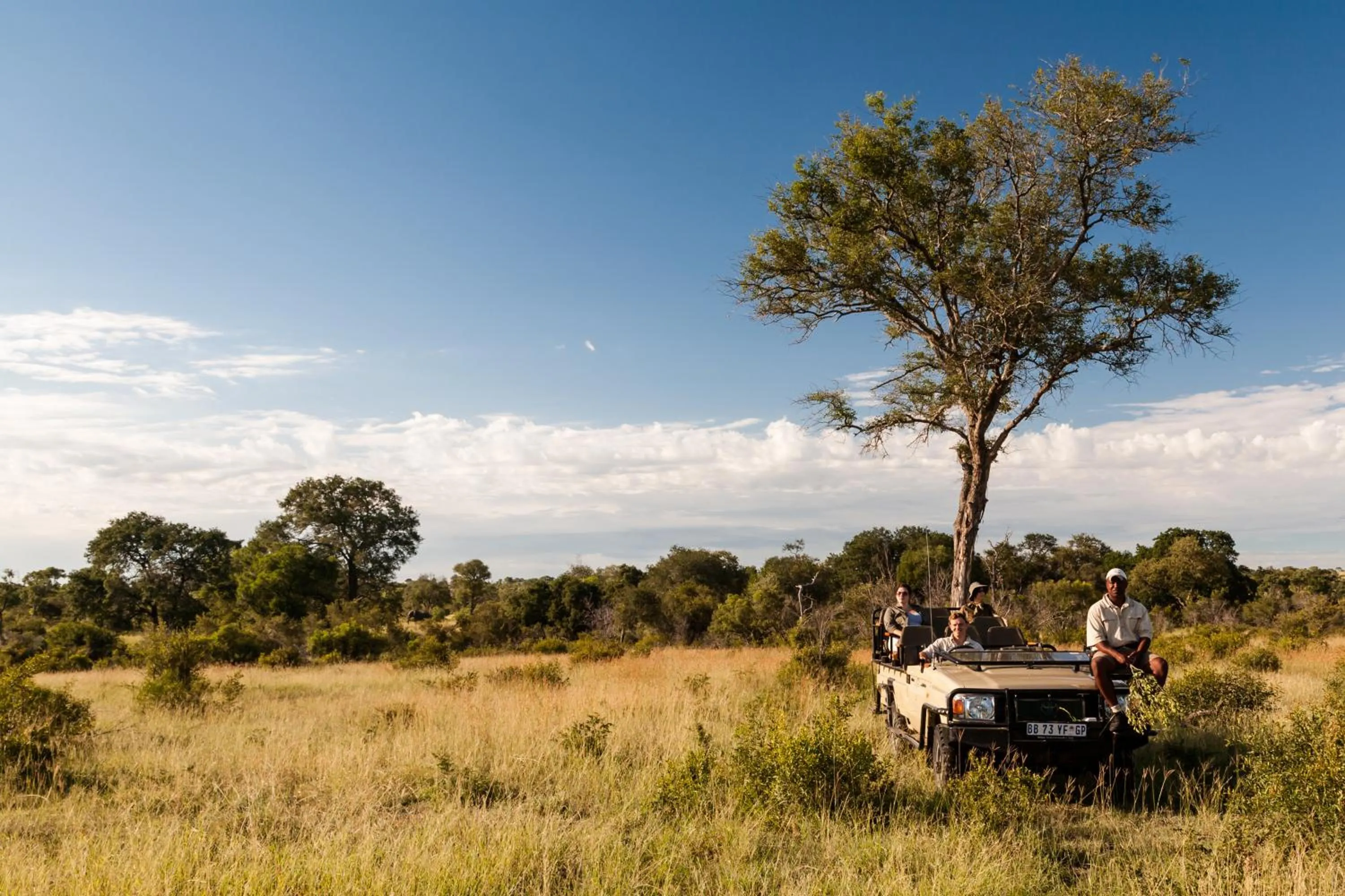 Activities in Tintswalo Safari
