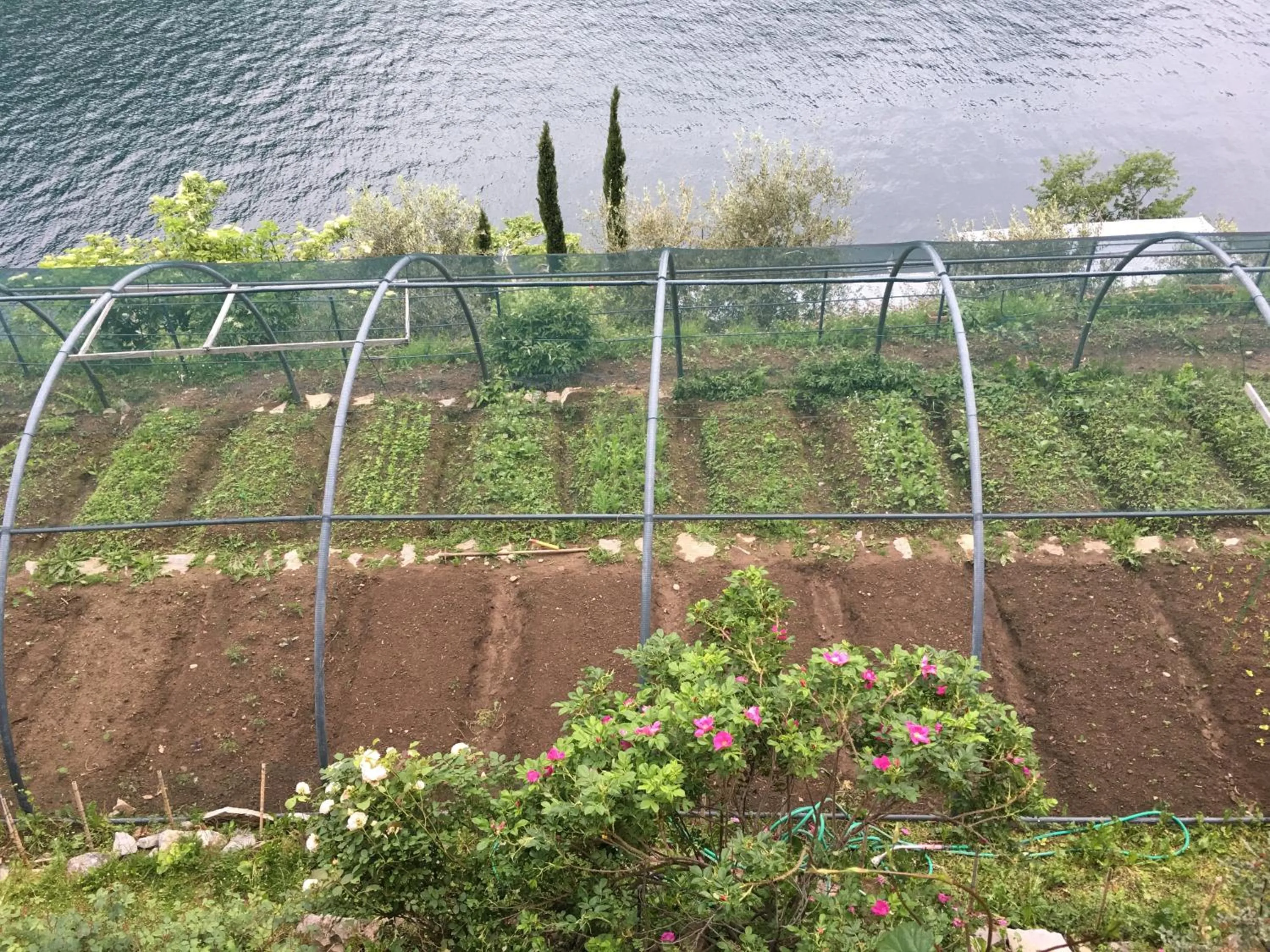 Garden in Casa Vacanza Castagna