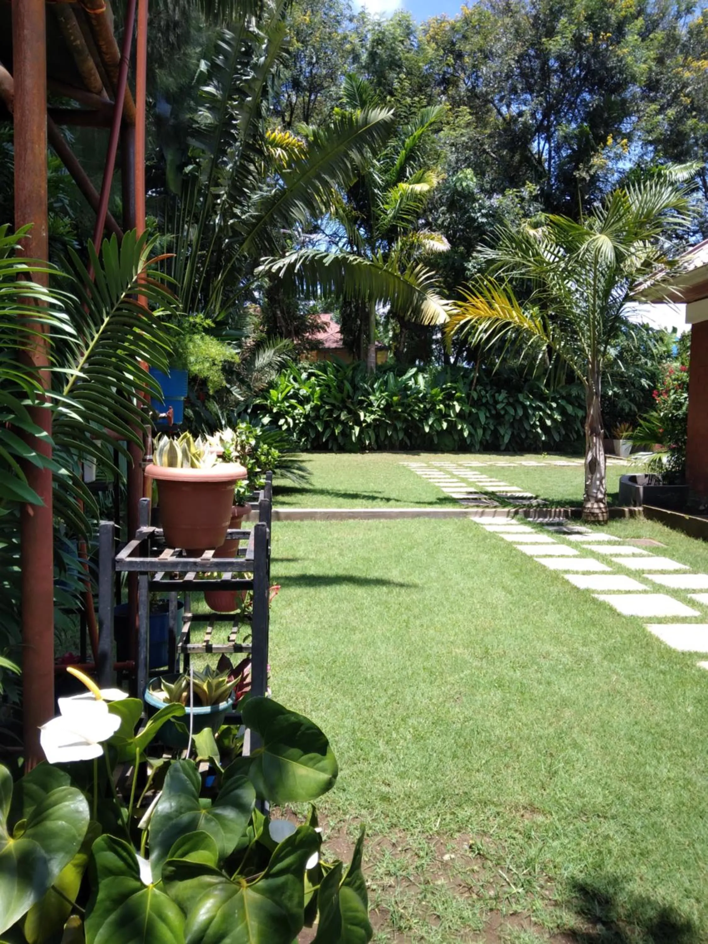 Garden in Sprunger Avenue - tulia homes