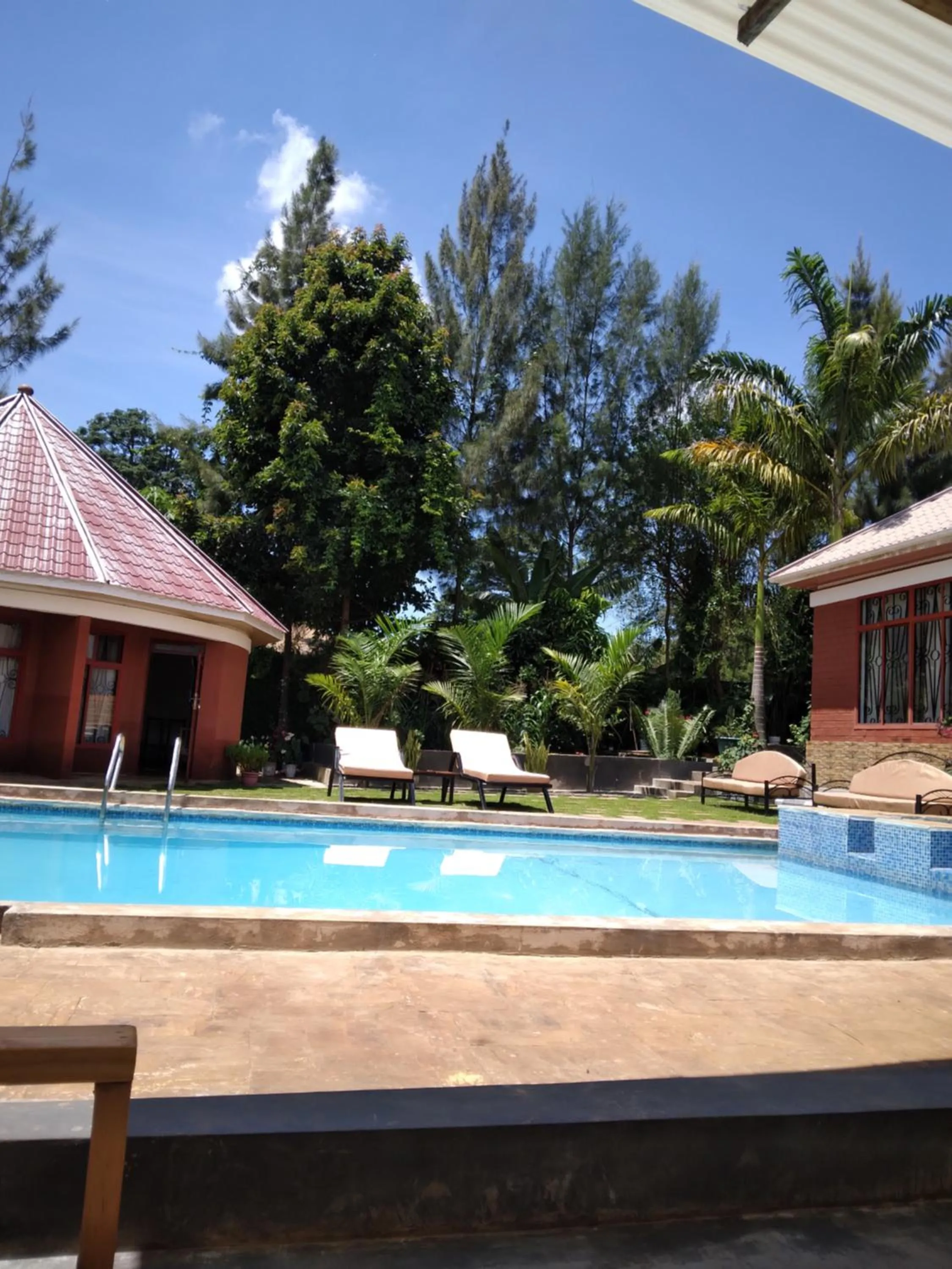 Swimming pool in Sprunger Avenue - tulia homes