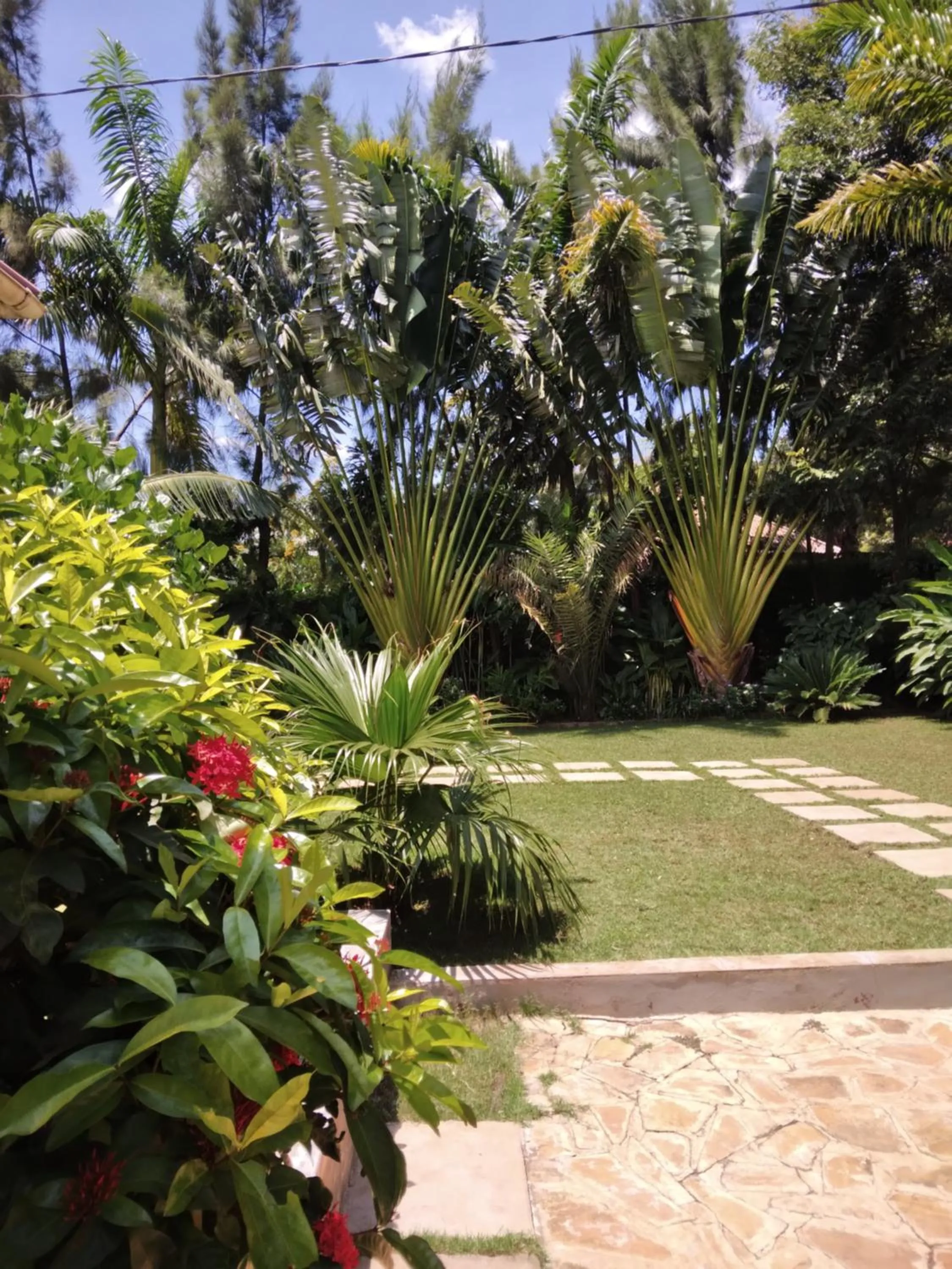 Garden in Sprunger Avenue - tulia homes