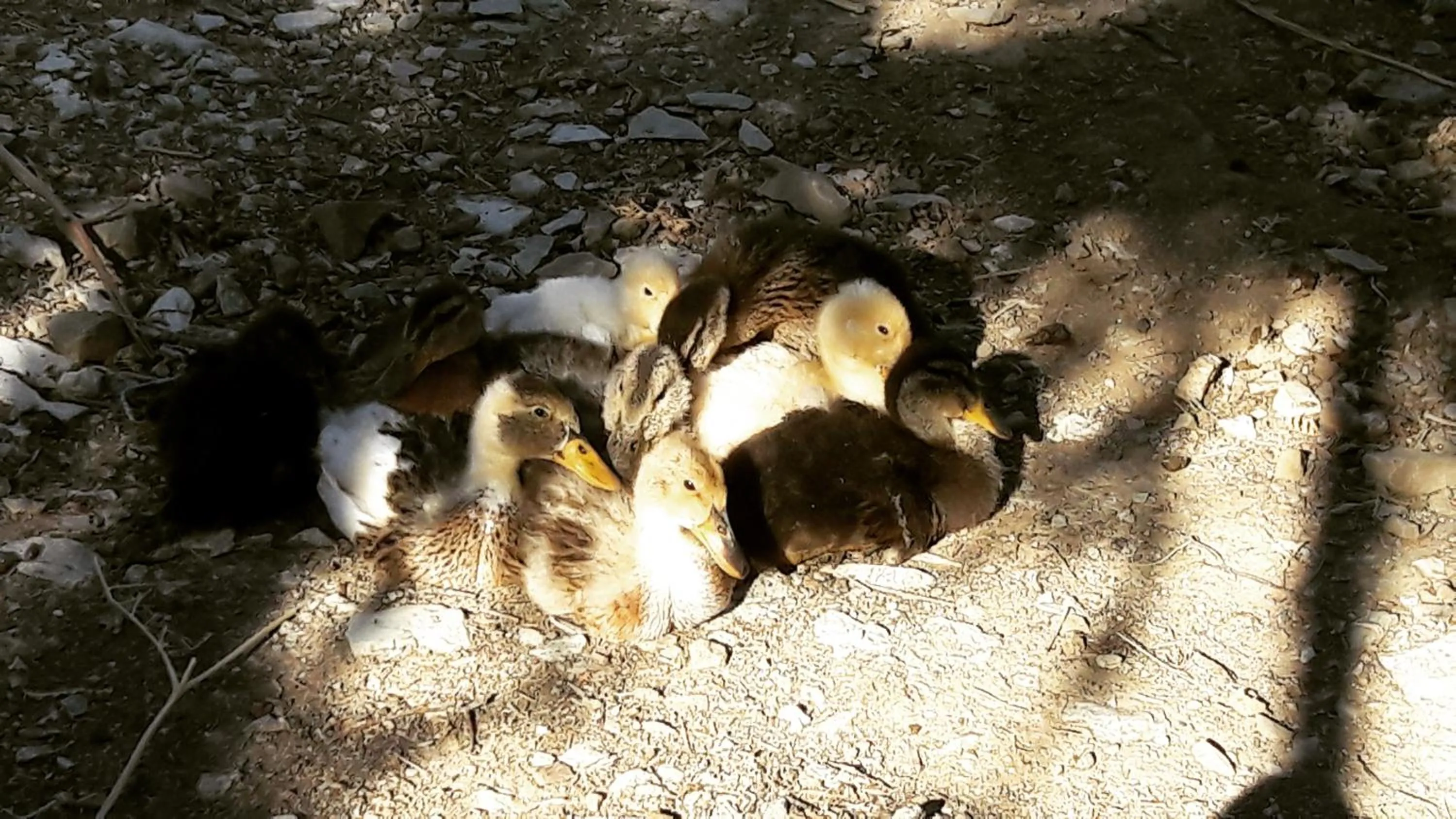 Day in Montanema Handmade Village