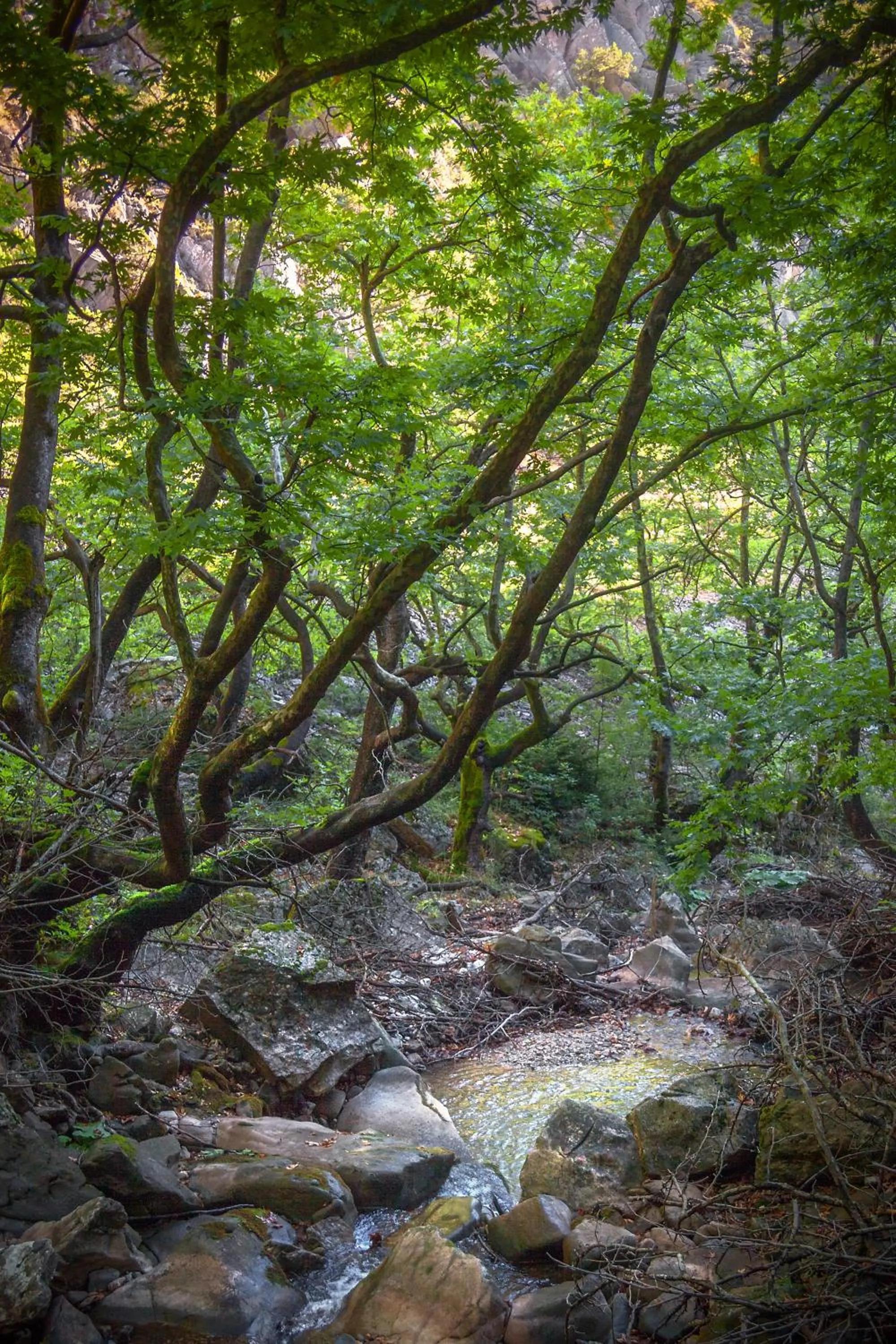 Natural landscape in Montanema Handmade Village