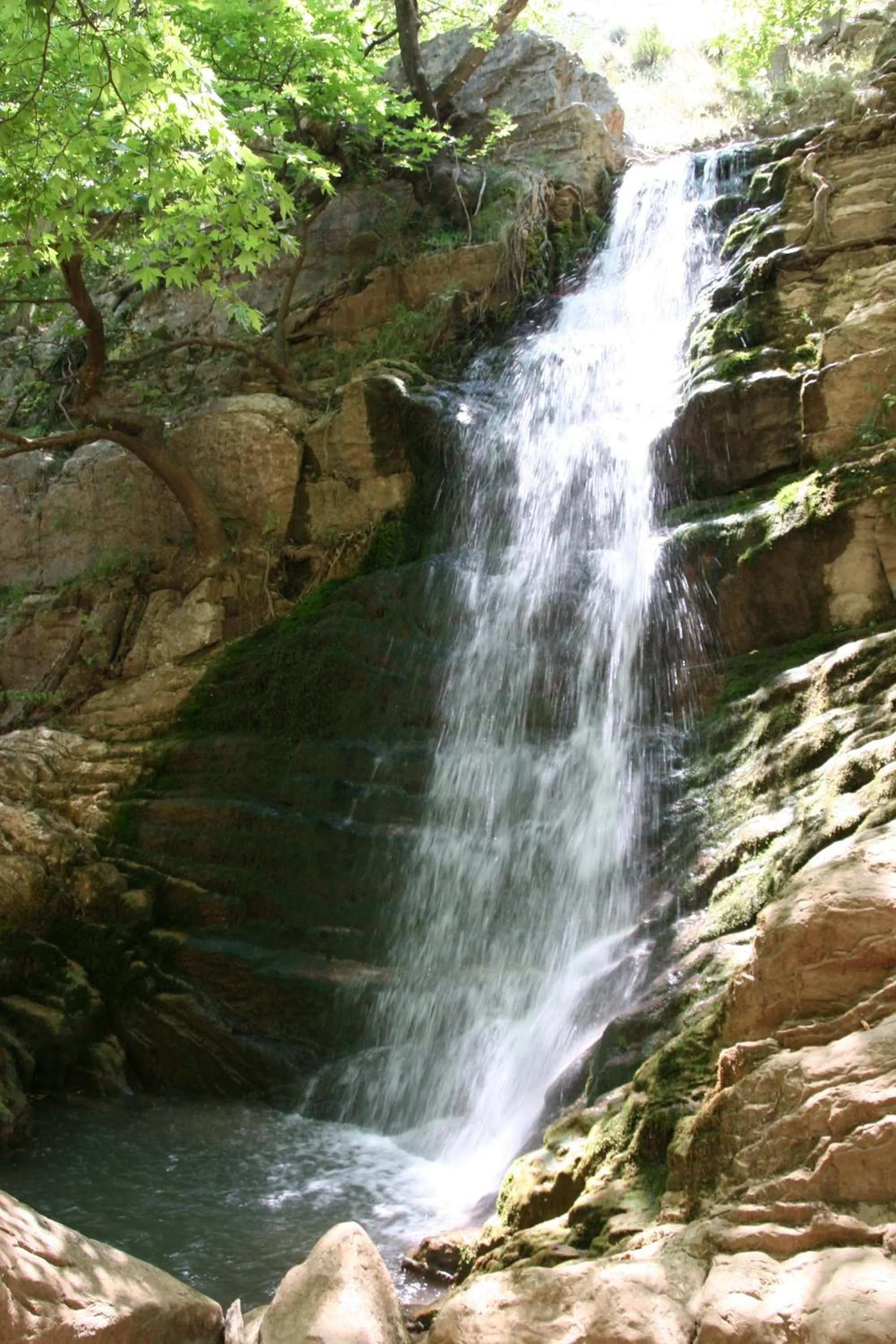 Area and facilities in Montanema Handmade Village