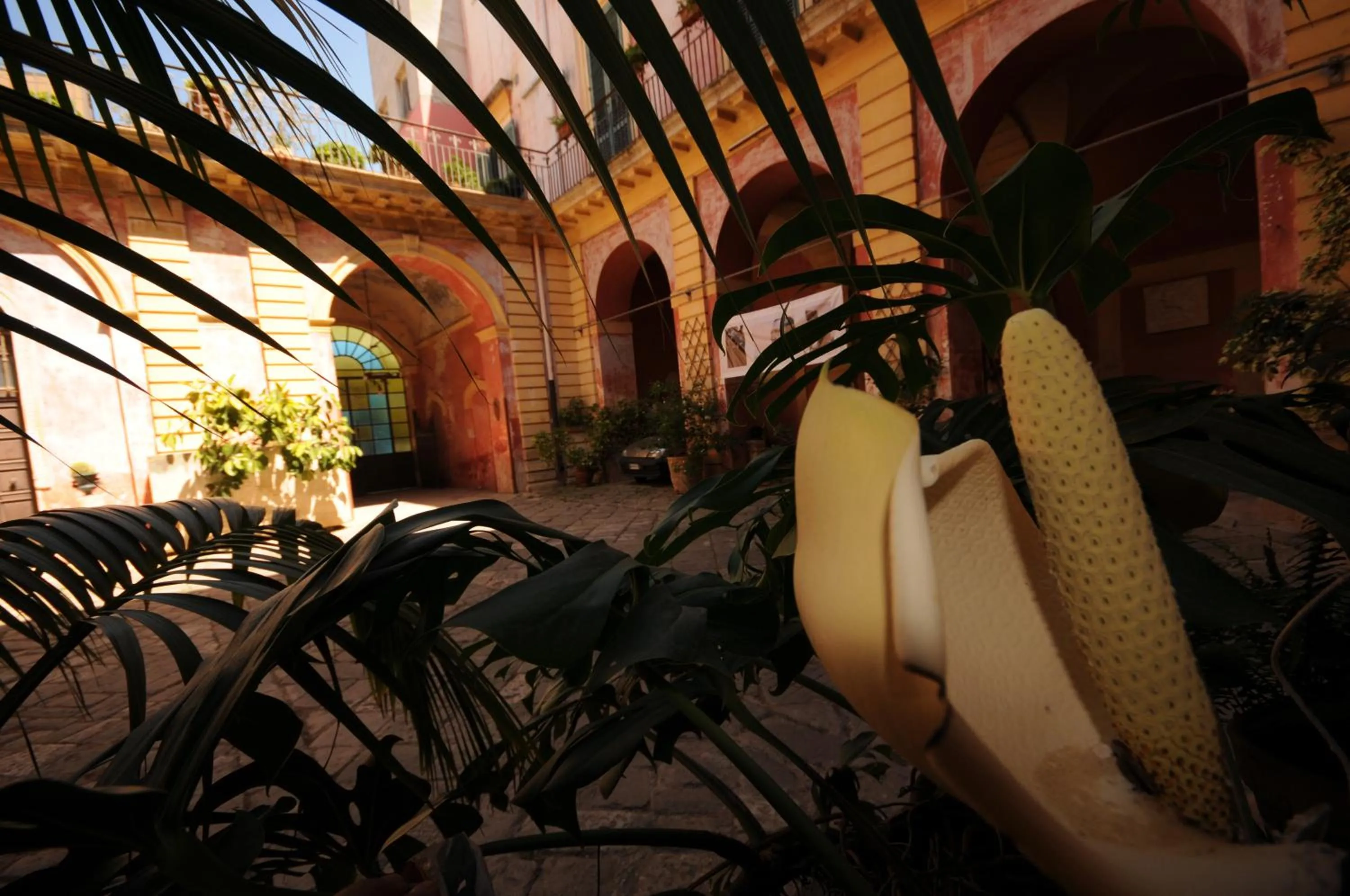 Palazzo Leuzzi B&B