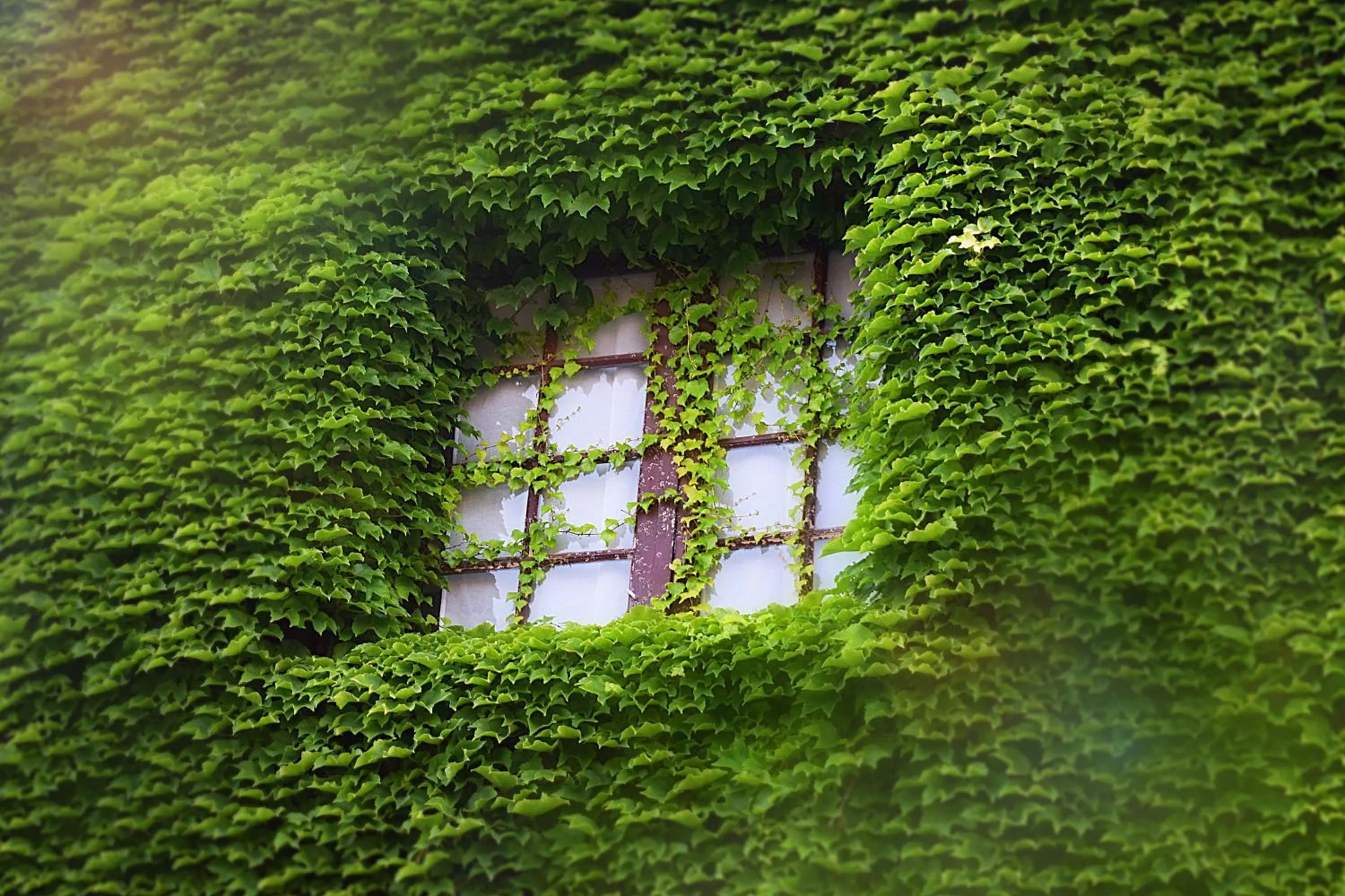 Natural landscape in Logis Hôtel Restaurant Le Top du Roulier