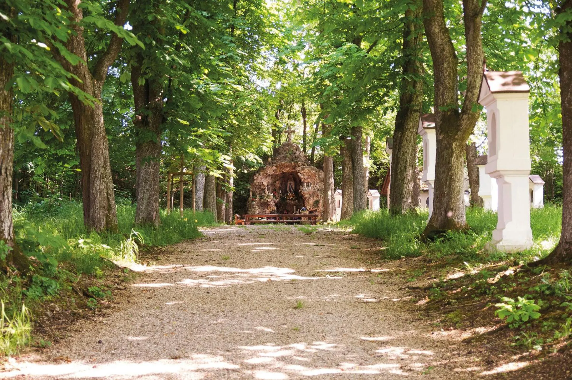 Area and facilities in Hotel Zum Schlössle