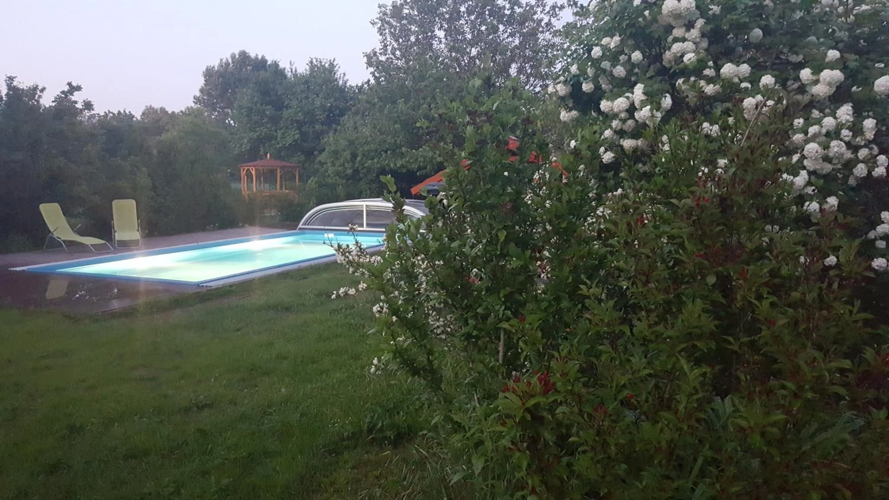 Swimming pool in Arina Villa