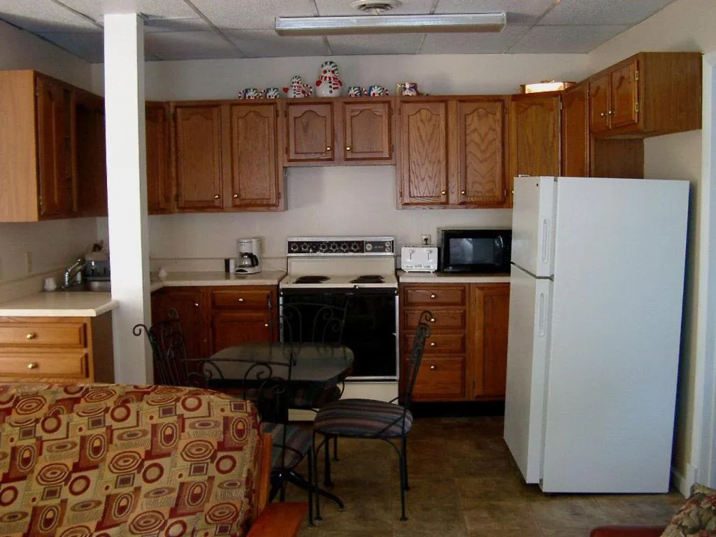 Kitchen or kitchenette in Windsor Motel