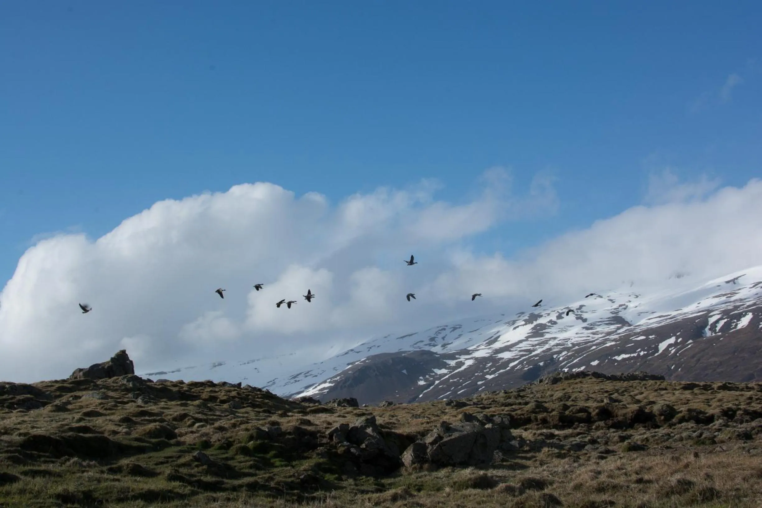Natural landscape in Bragdavellir Cottages