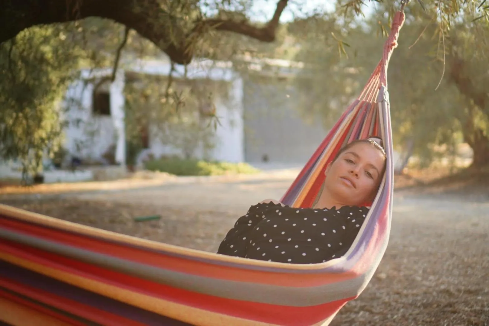 Garden in Valle de Oro