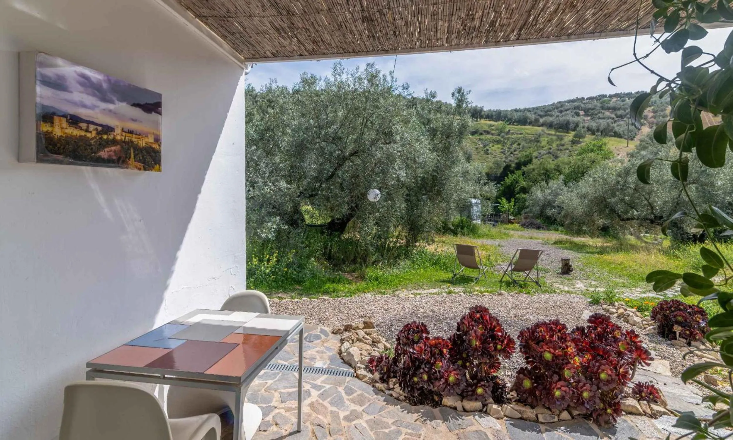 View (from property/room) in Valle de Oro