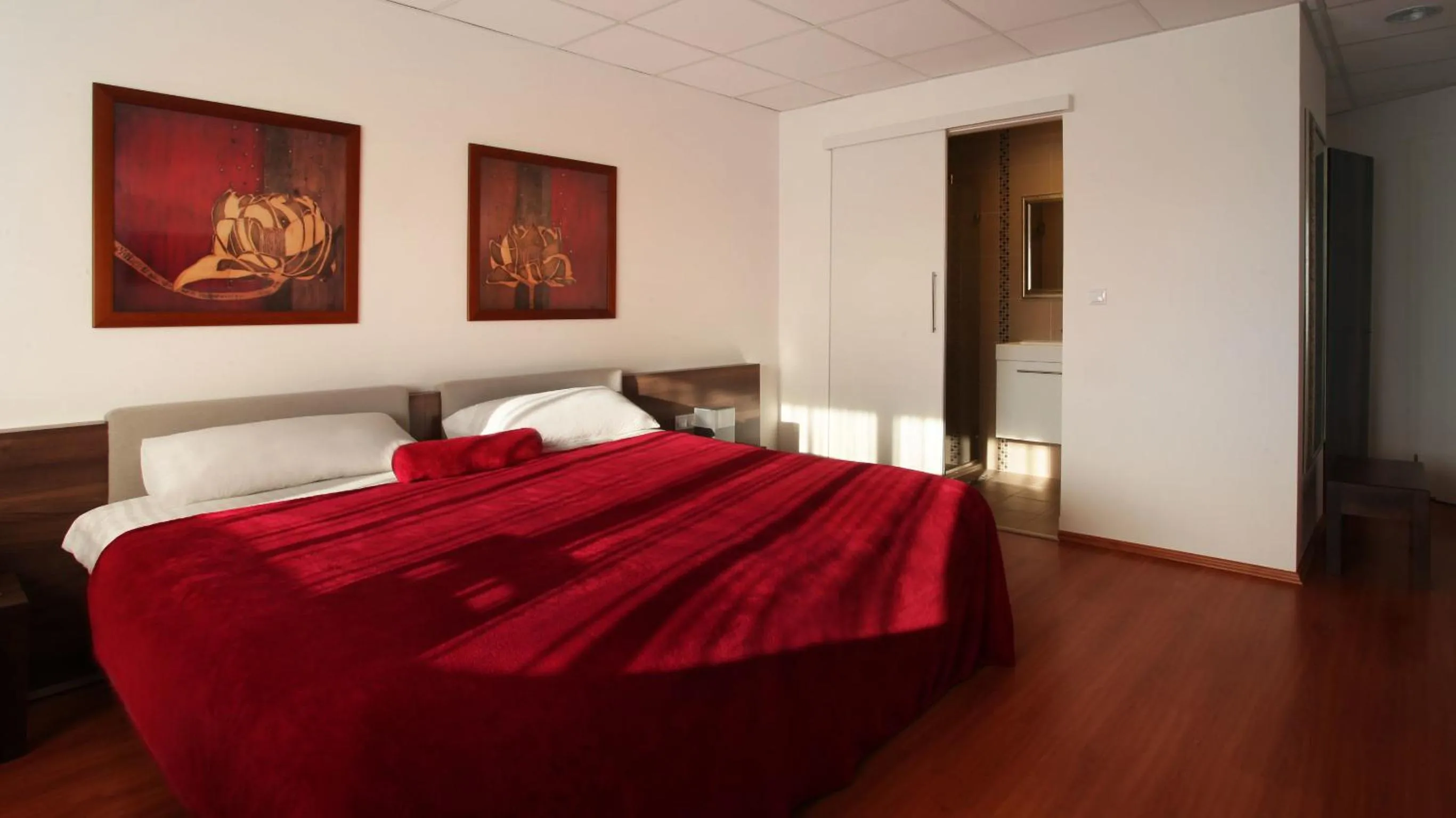 Superior Queen Room in Sós Motel