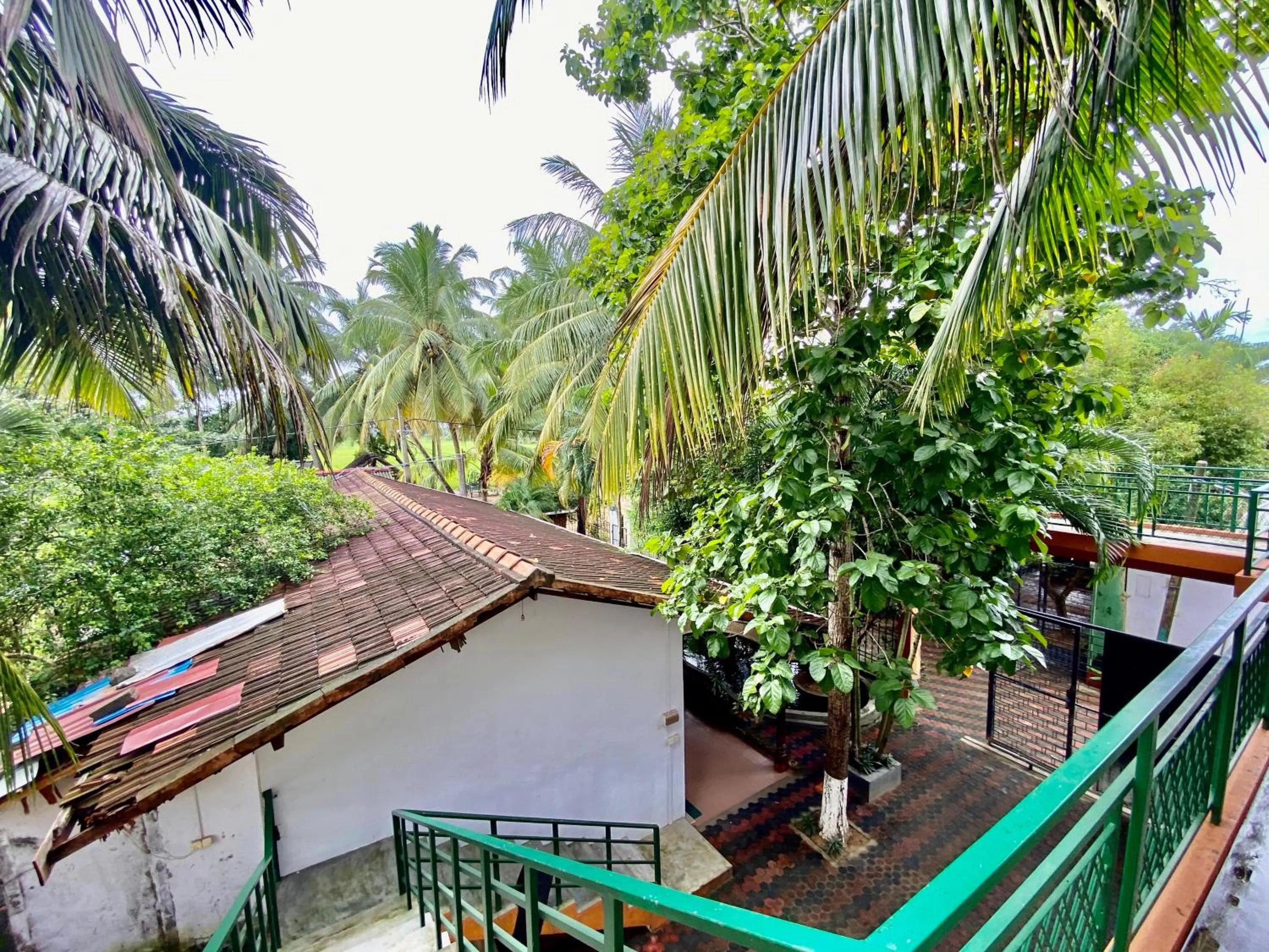 Green Villa