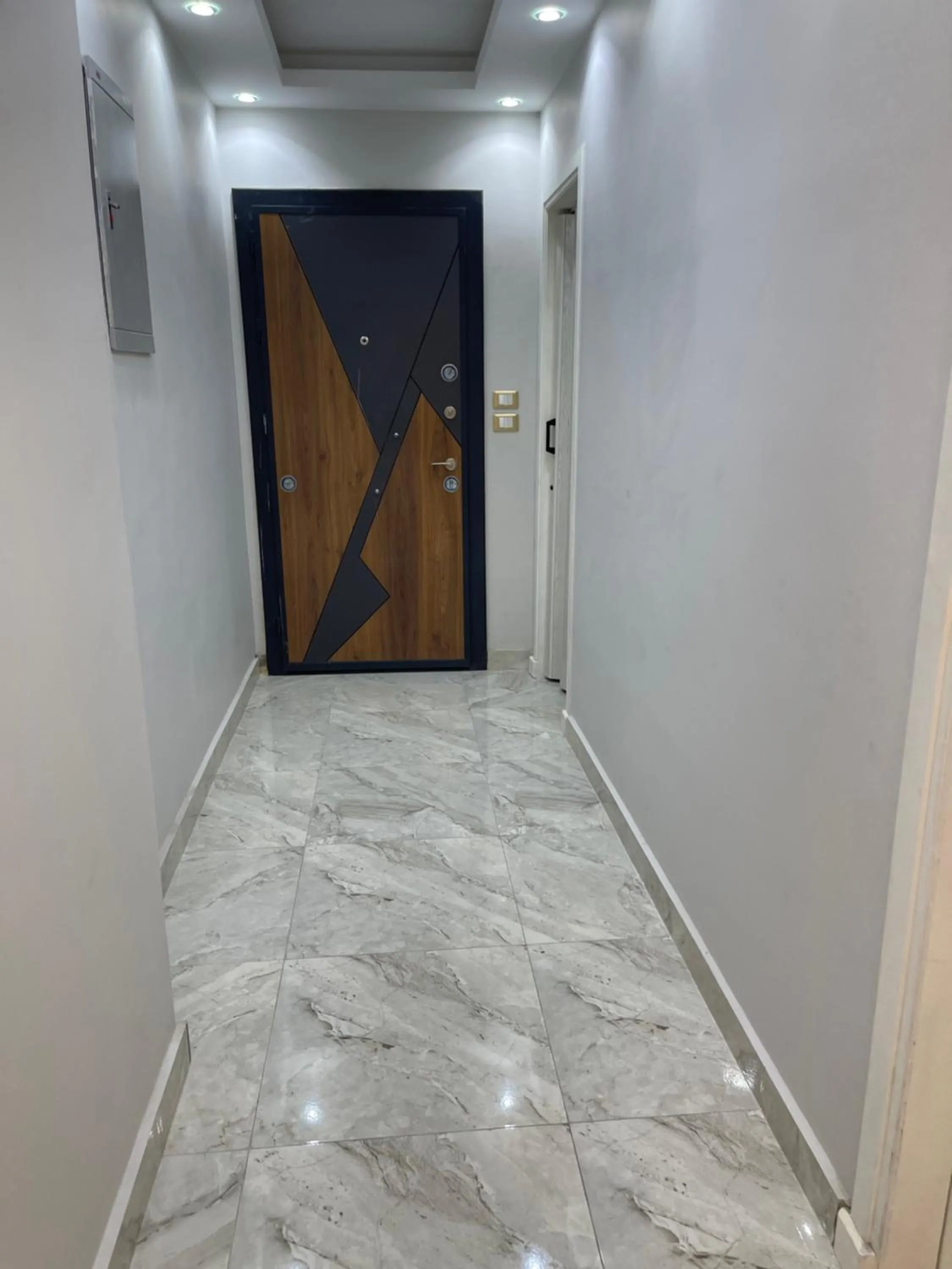 Nile view apartment in cairo