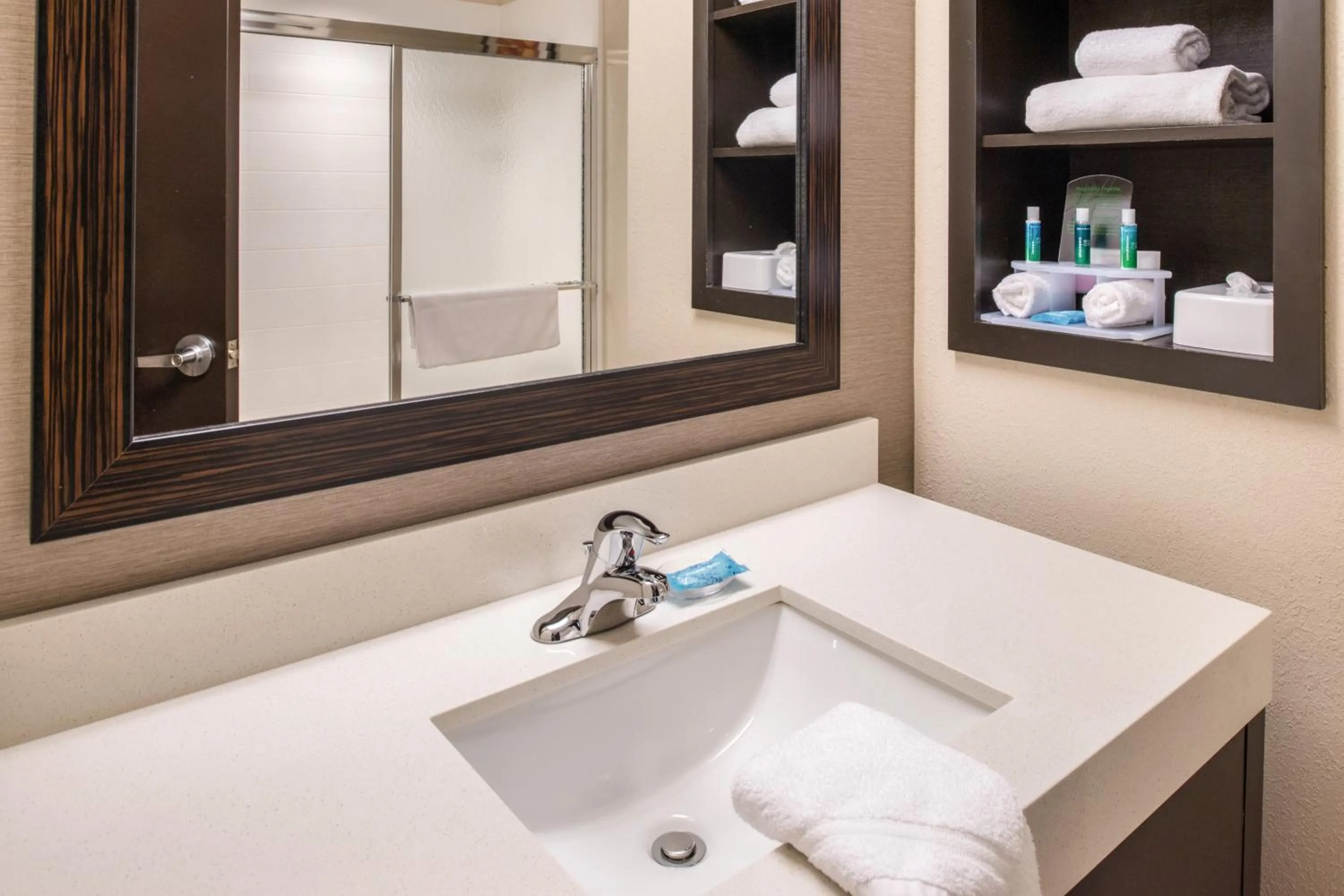 Bathroom in Holiday Inn Express & Suites Monroe by IHG