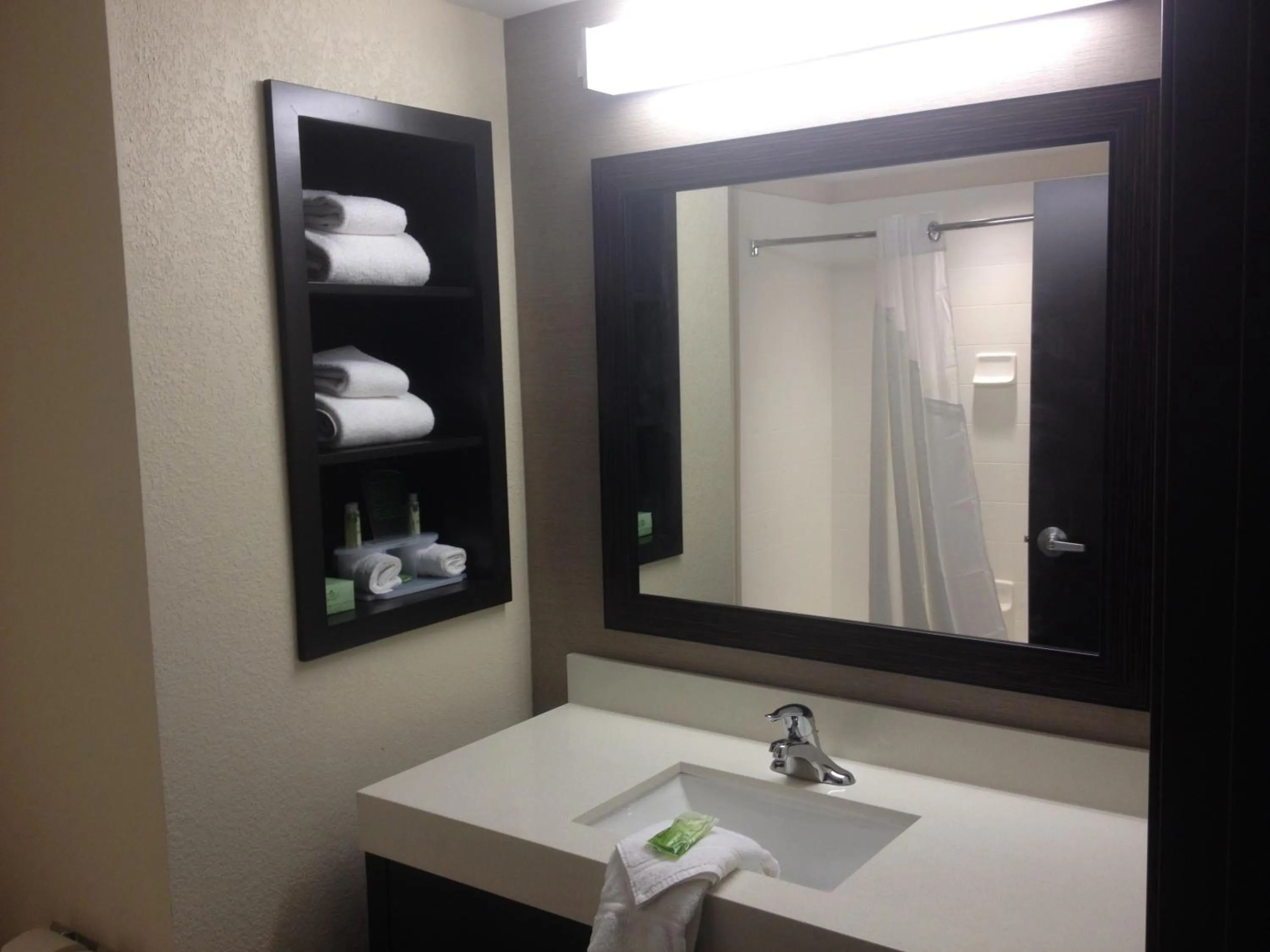 Toilet in Holiday Inn Express & Suites Monroe by IHG