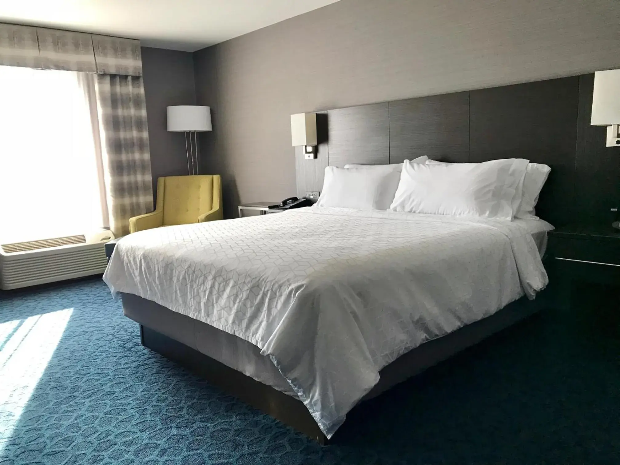 Standard King Room in Holiday Inn Express Sidney by IHG Standard King Room in Holiday Inn Express Sidney by IHG