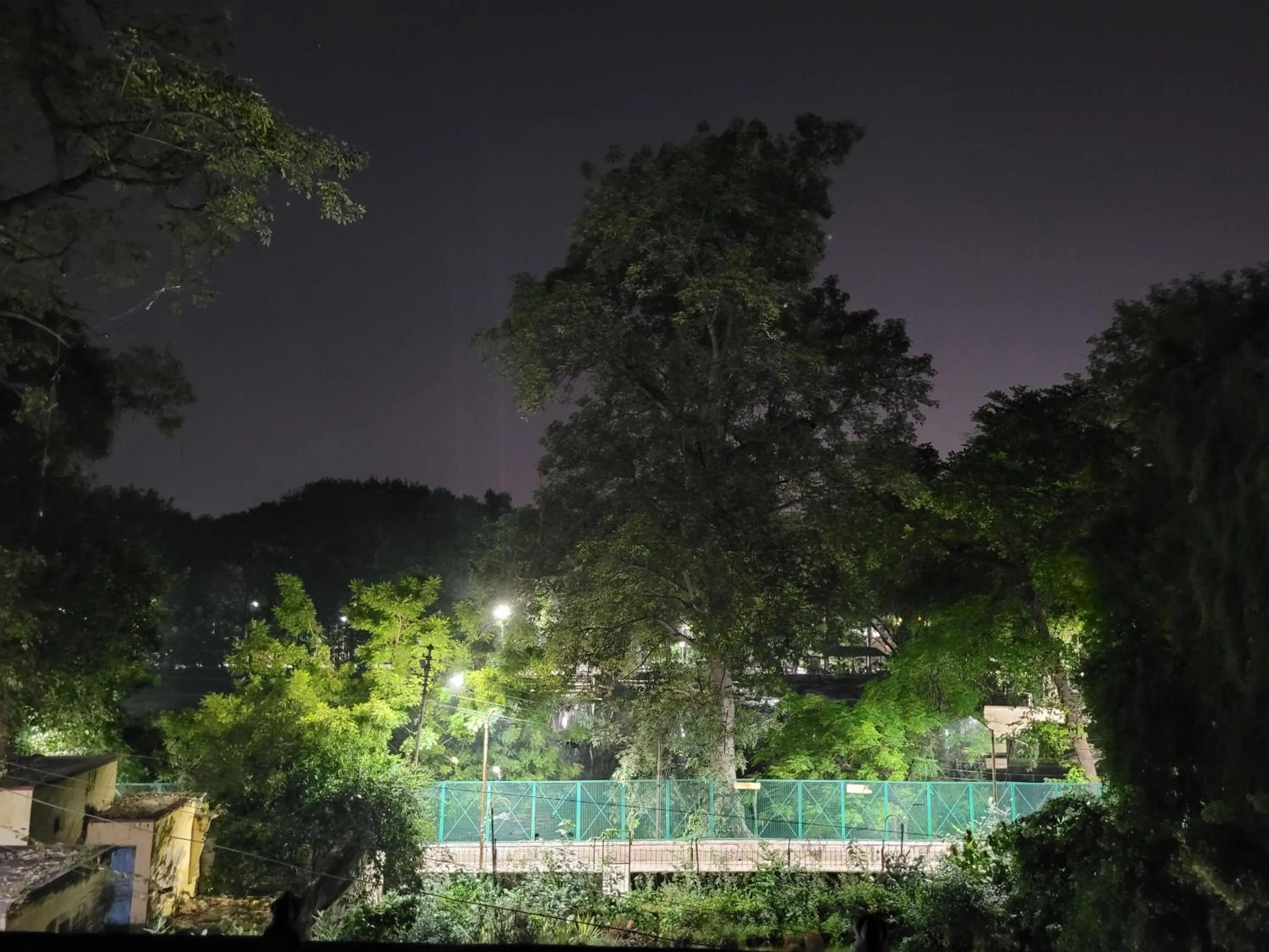 Garden view in Hotel Ananda Kashi