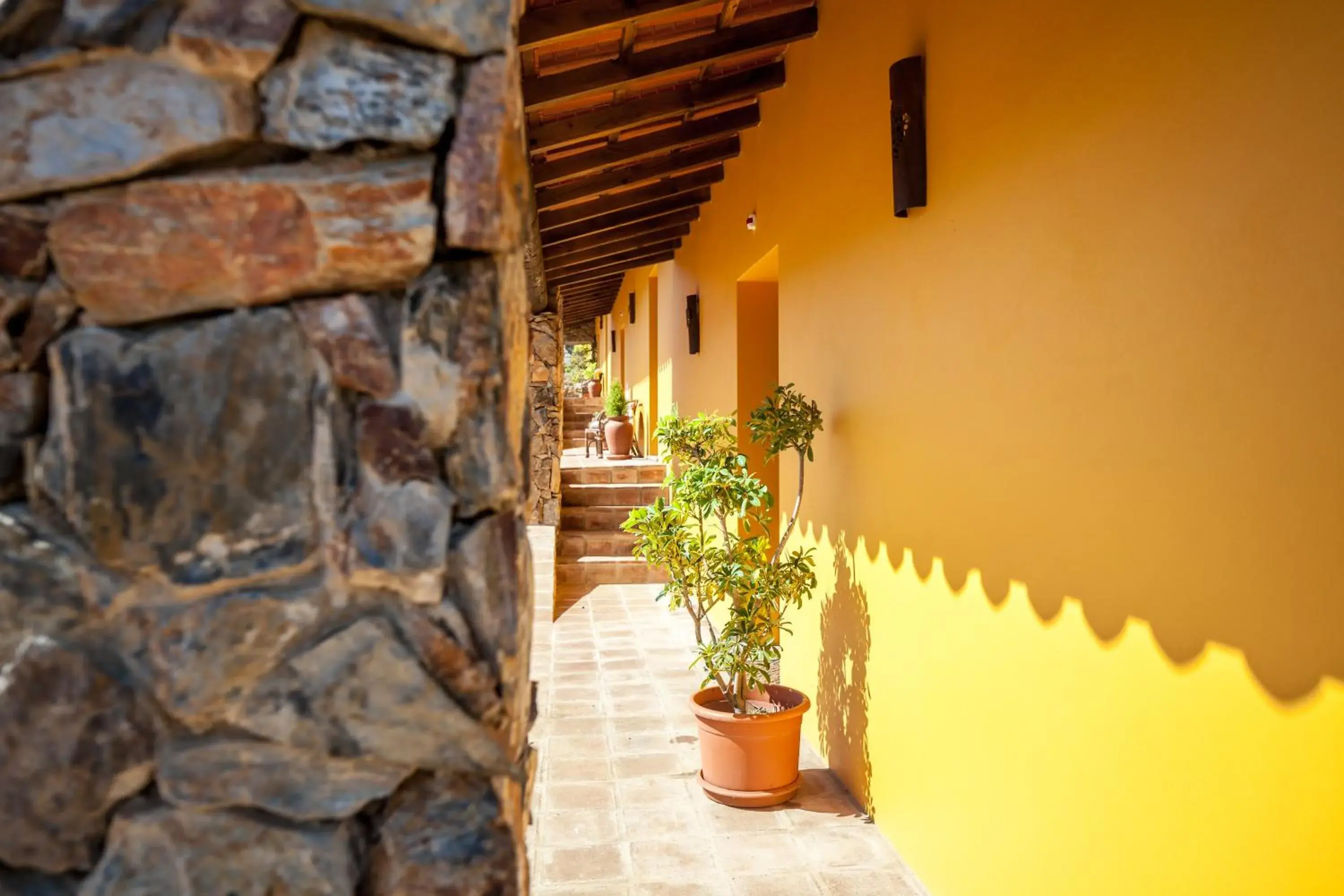 Lobby or reception in Monte da Esperanca Lobby or reception in Monte da Esperanca