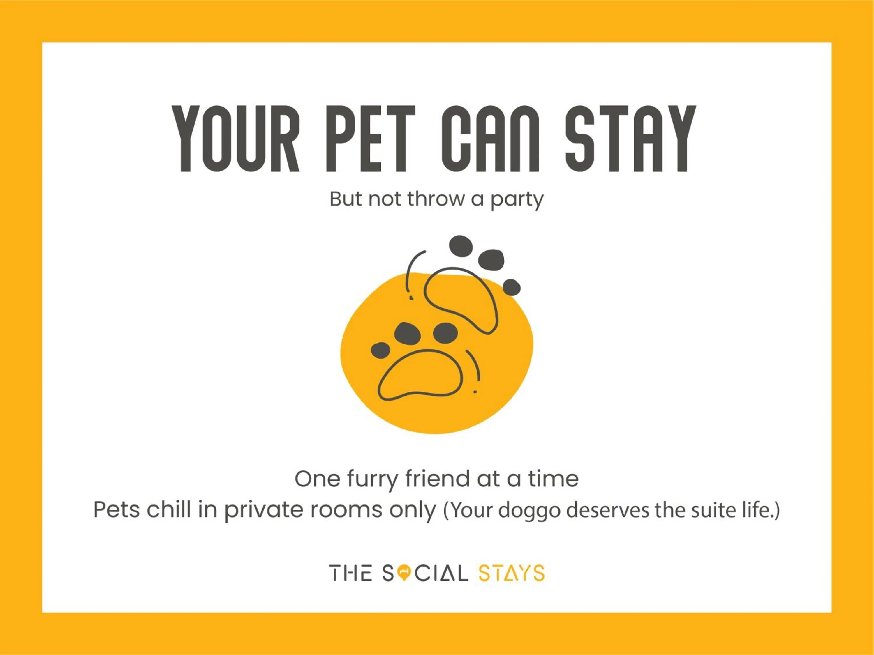 Pets in The Social Stays Dehradun