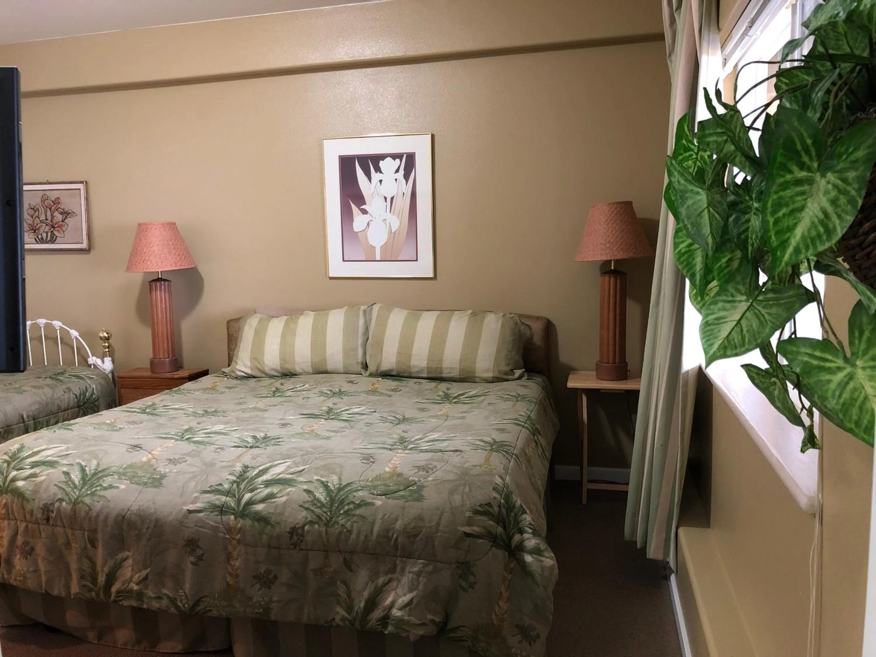 Aloha Alaska Vacation Rentals