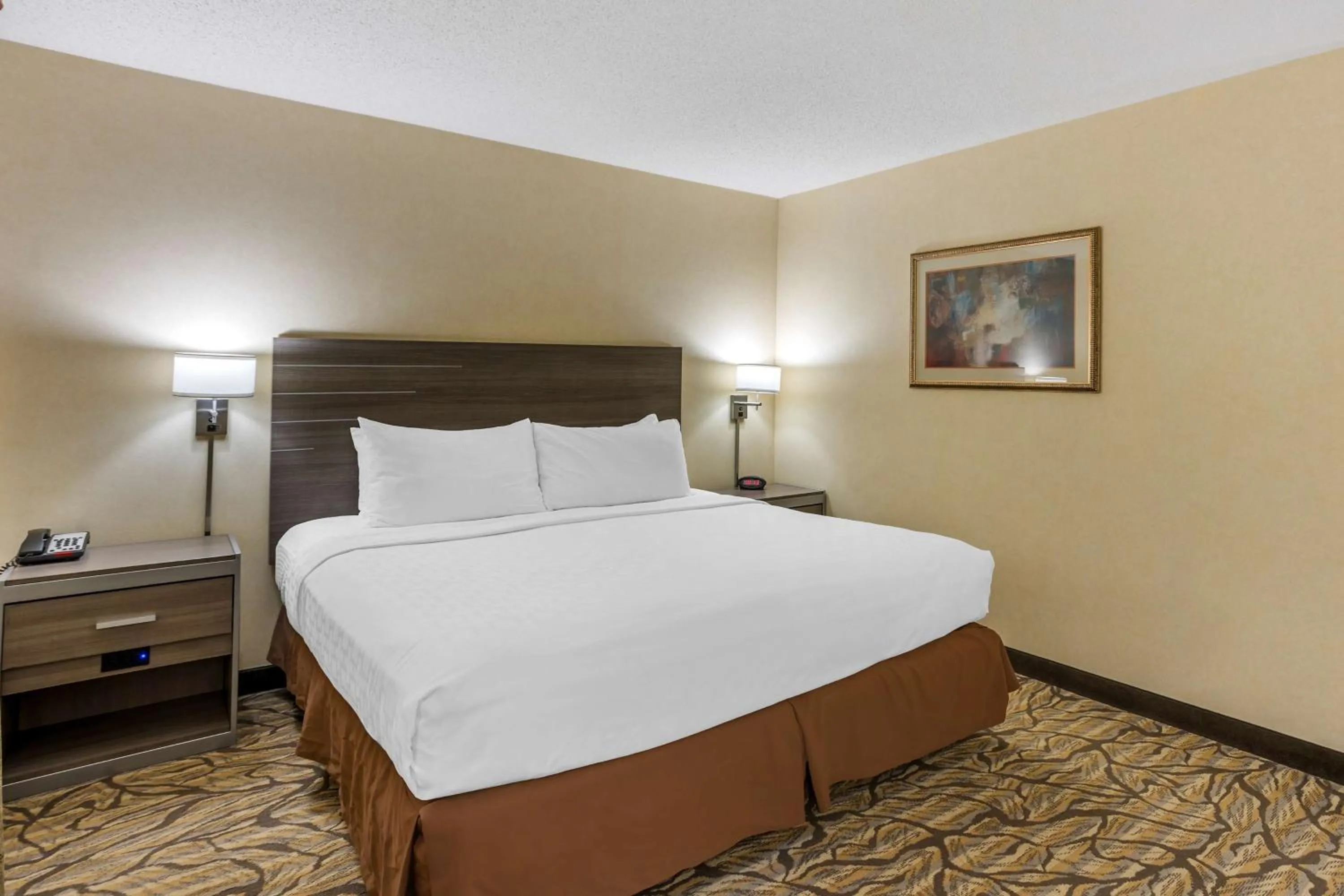 Bedroom, Bed in Best Western Danville Inn