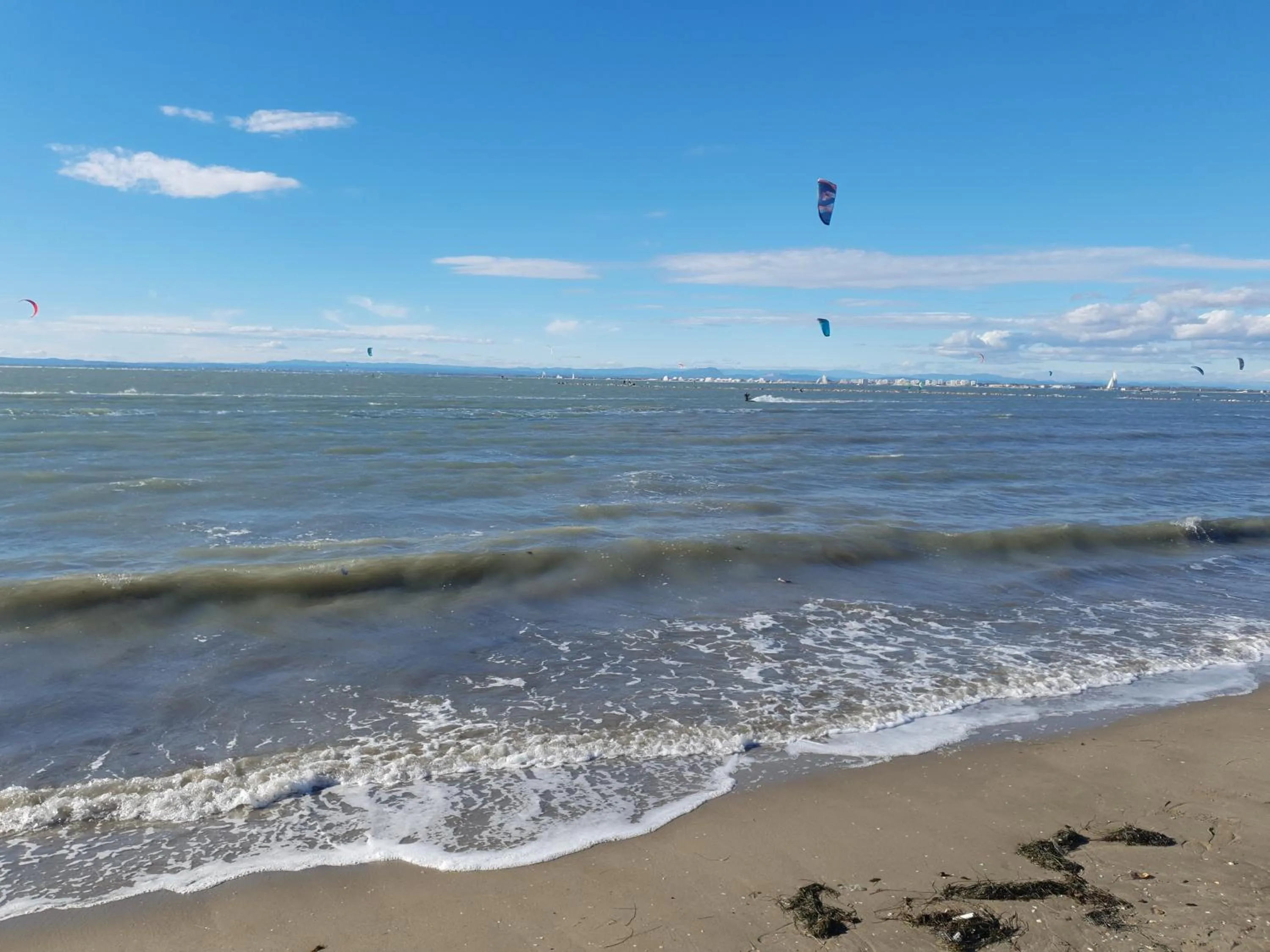 La petite Camargue