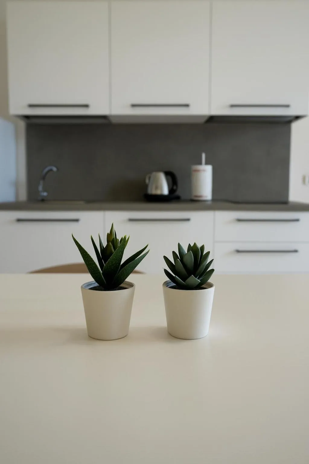 Kitchen or kitchenette in Marina di Petrolo Apartments