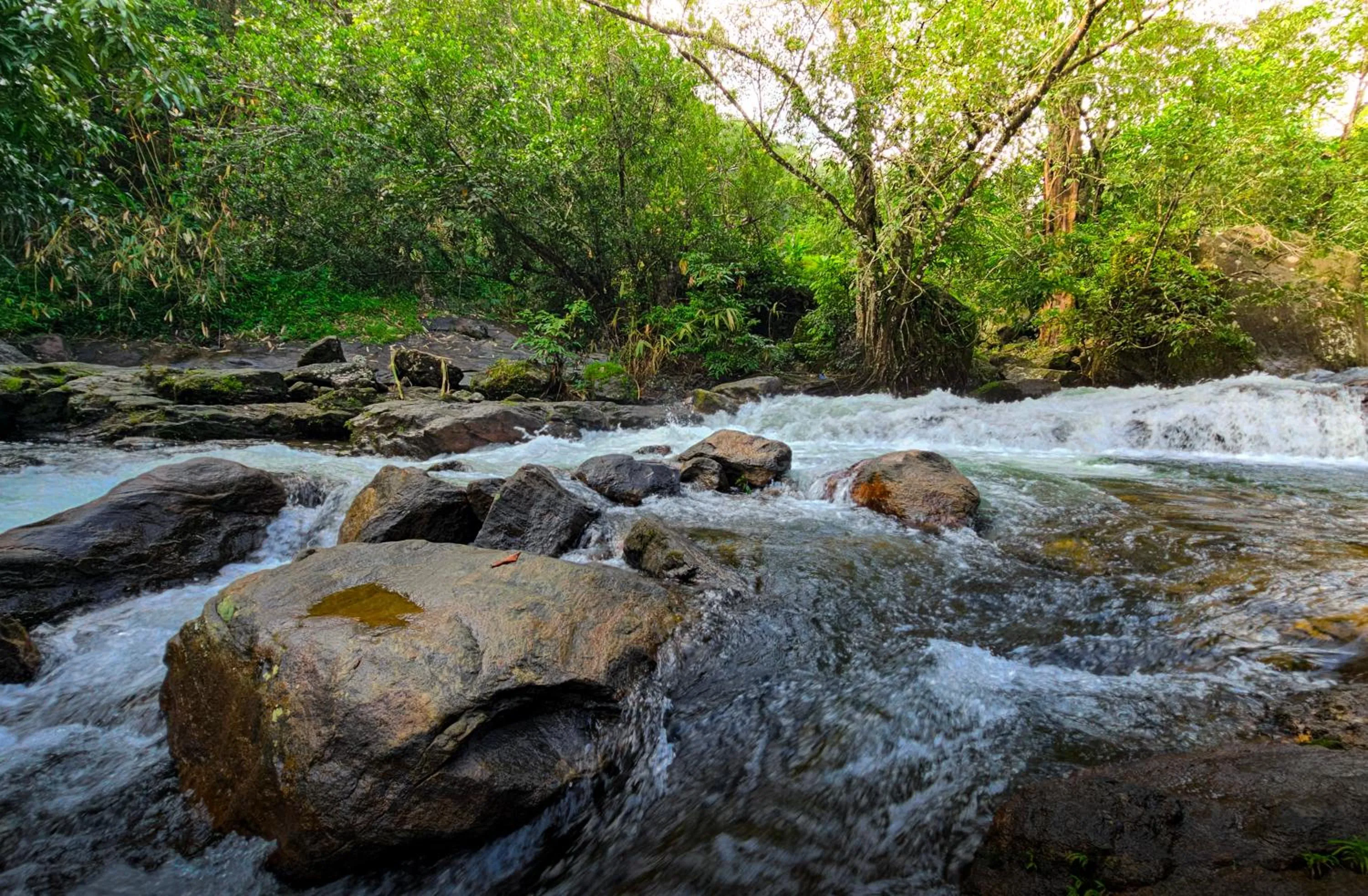 Other in Maram Resort Mamalakandam