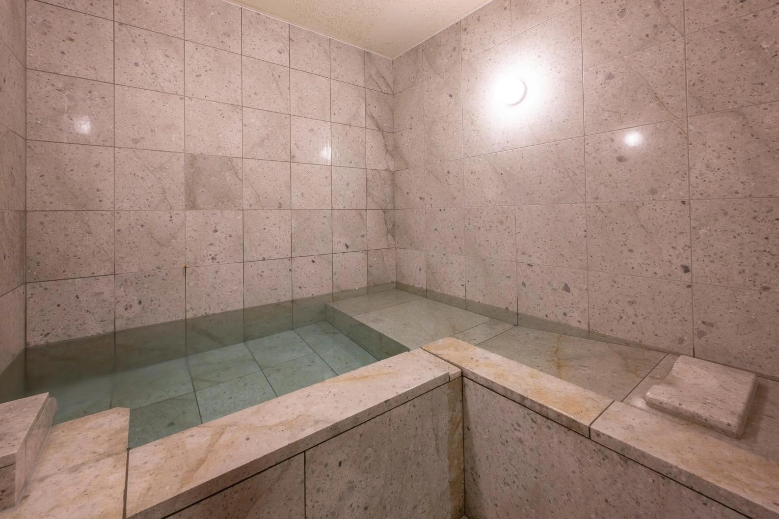 Hot Spring Bath in Hotel Sekifu