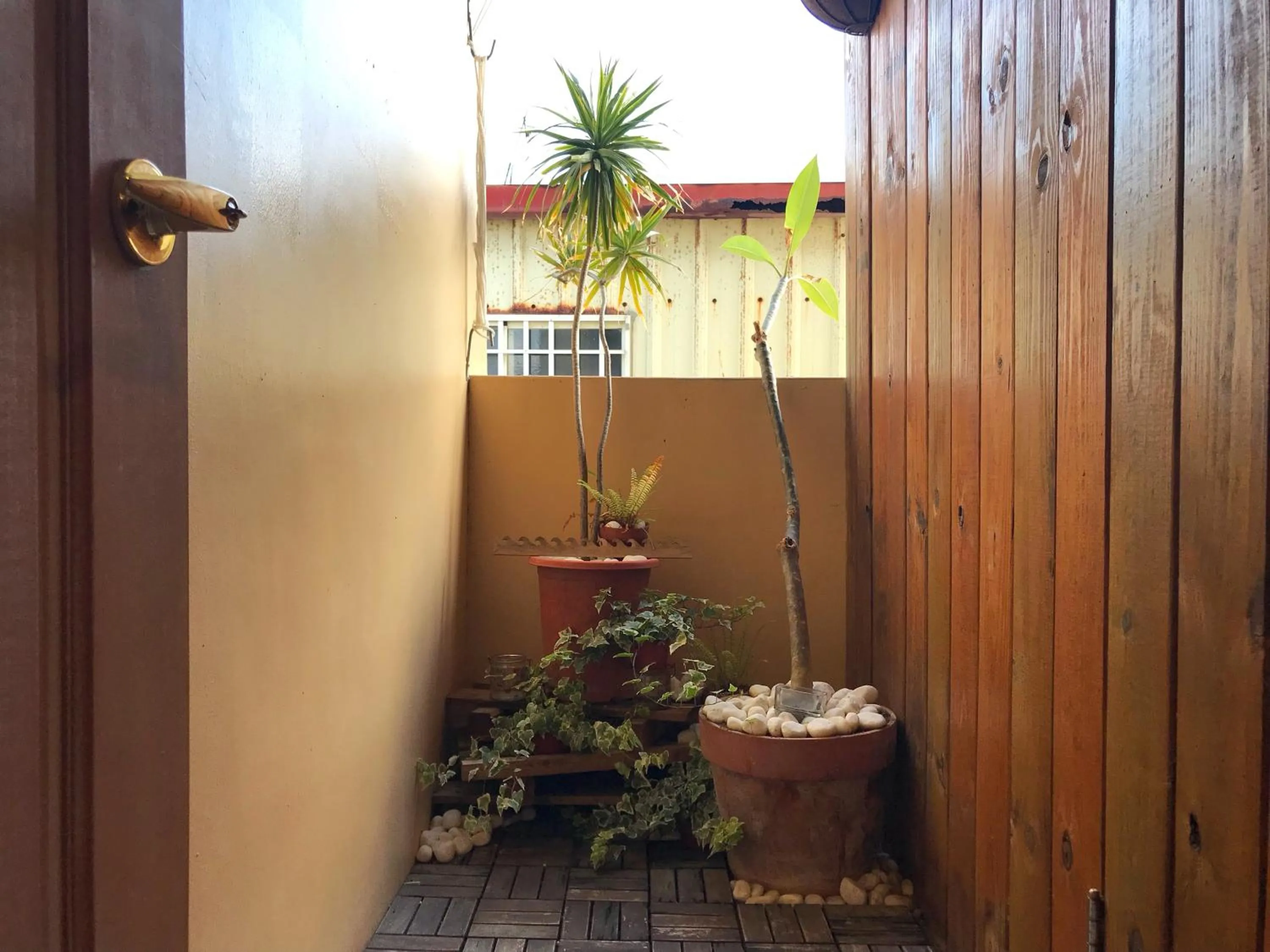 Balcony/Terrace in 墾丁寵物友善 鐵宿 Tetsu B&B