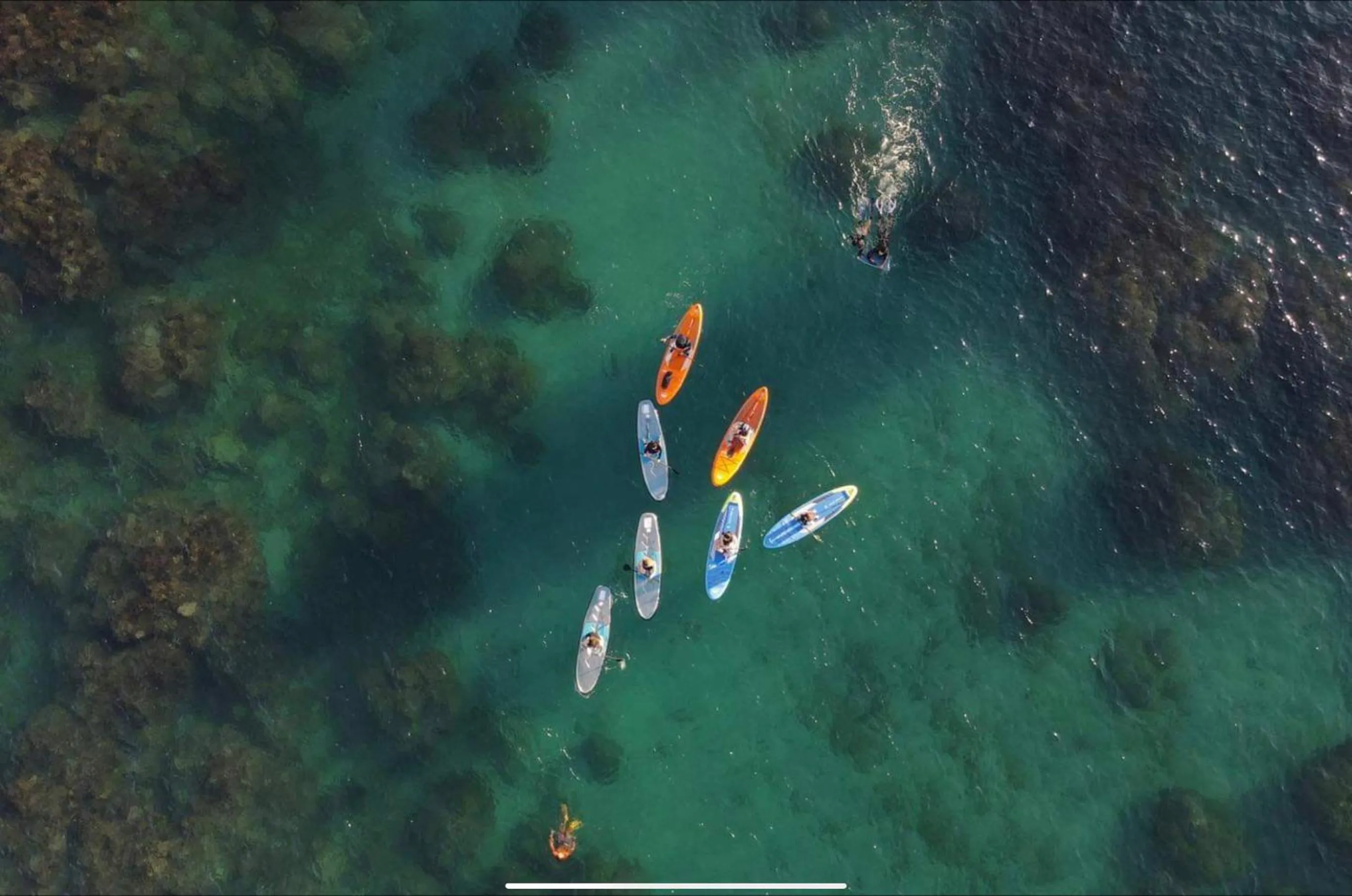 Aqua park in 墾丁寵物友善 鐵宿 Tetsu B&B