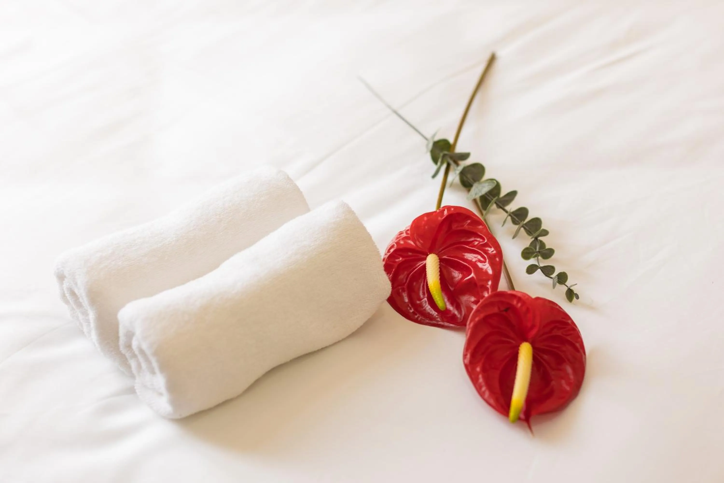 towels in OLAGI HOTEL