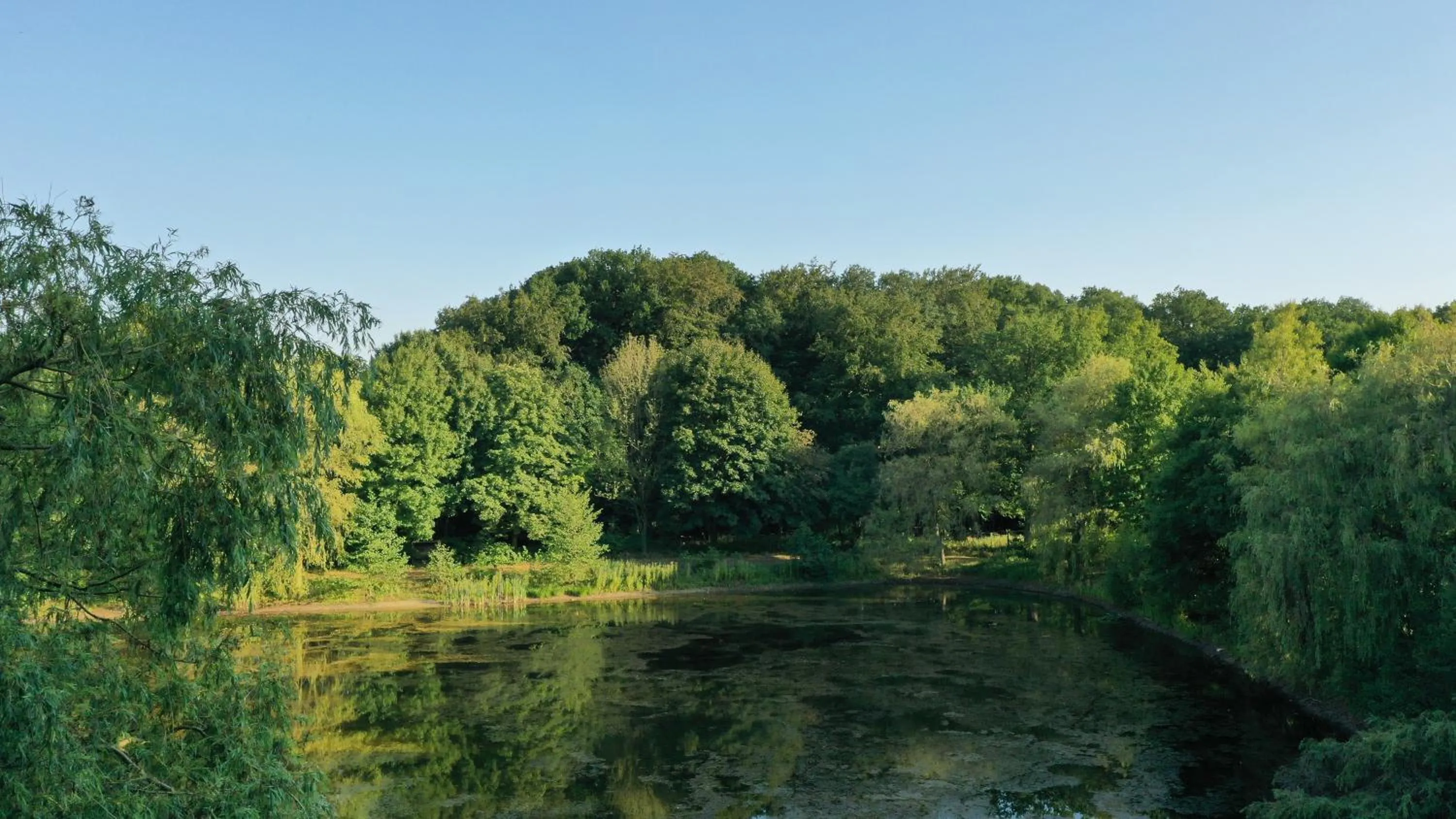 Waldhotel und Restaurant Zeitreise