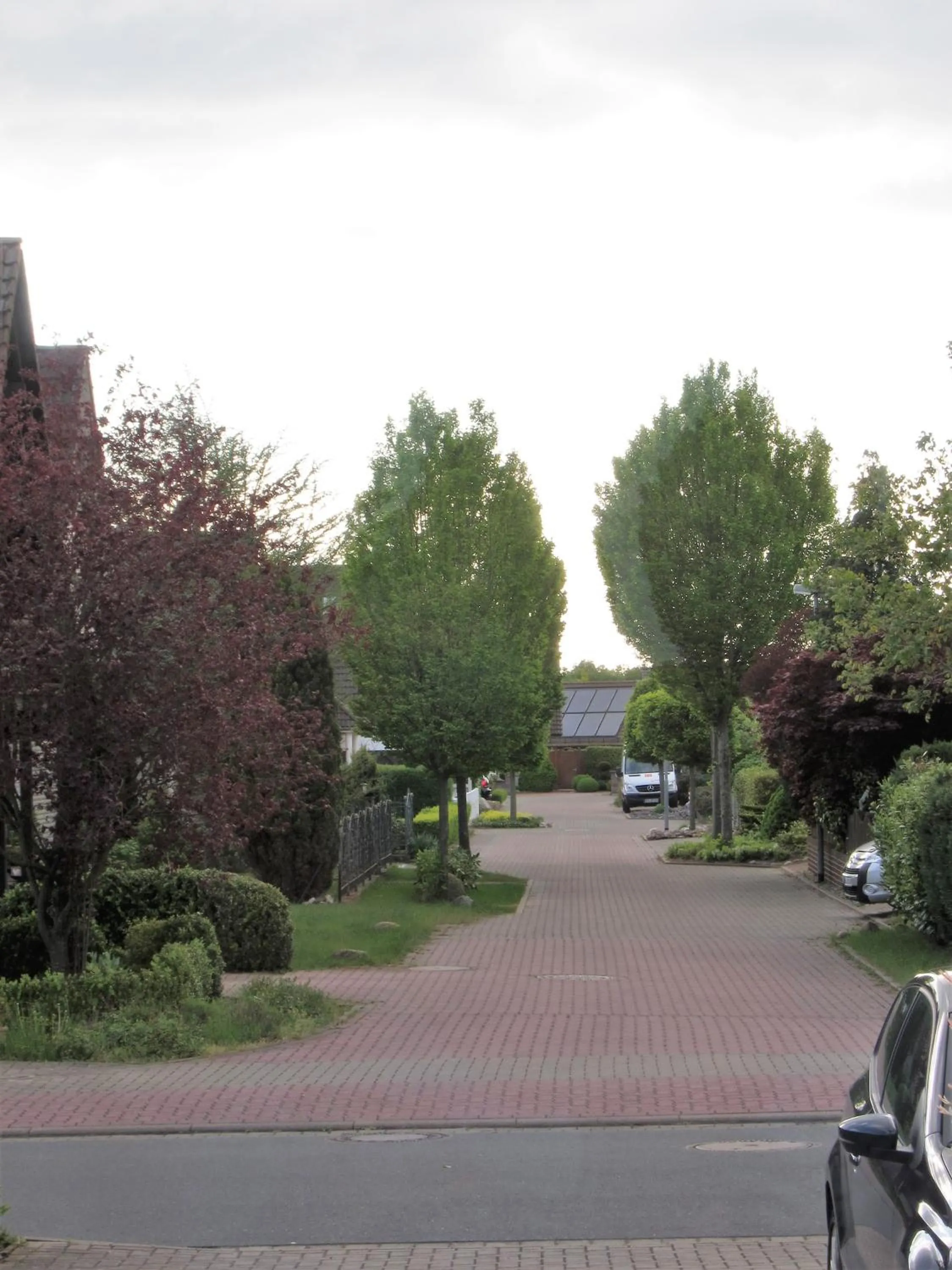 Natural landscape in Hotel Heidetraum