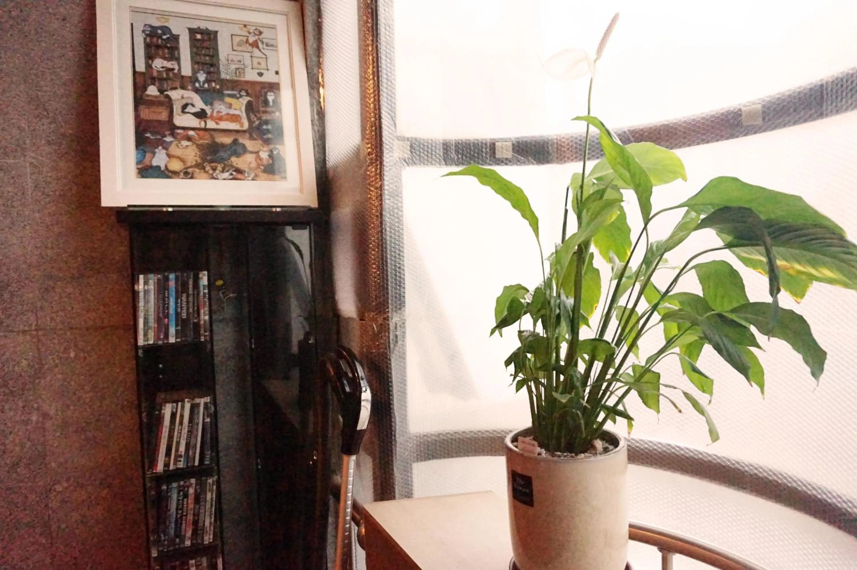 Balcony/Terrace in Able Guesthouse Hongdae